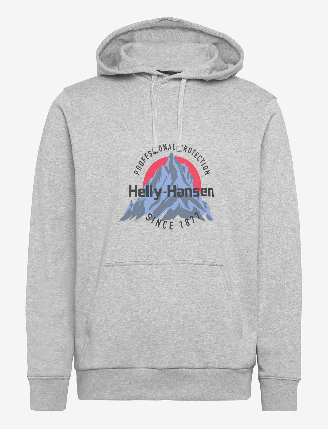 Helly Hansen - CORE GRAPHIC HOODIE - huvtröjor - grey melang - 1