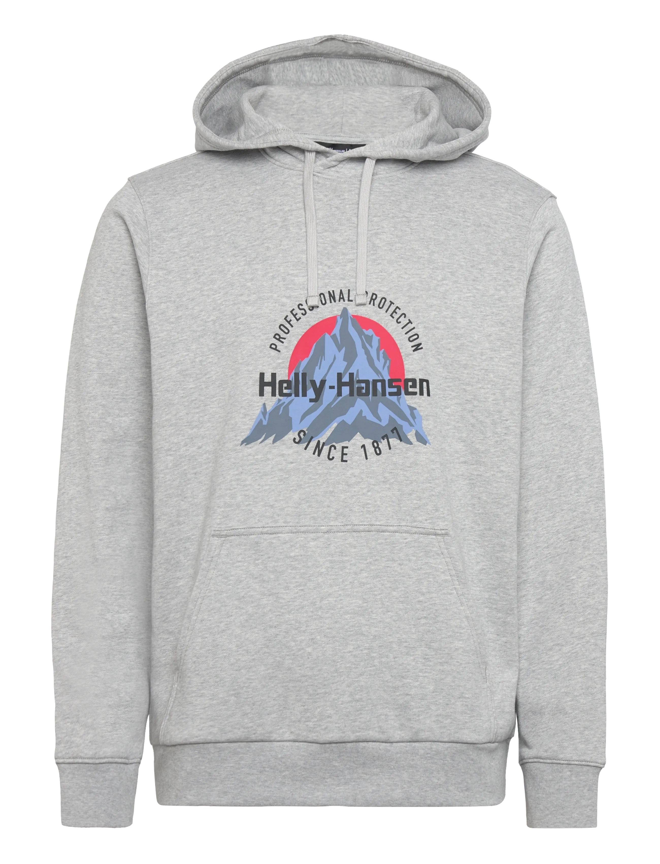 Helly Hansen CORE GRAPHIC HOODIE - Sweatshirts - GREY MELANG / grey