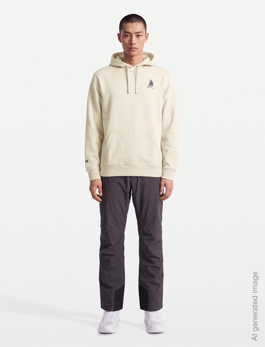 Helly Hansen - SHORELINE HOODIE - huvtröjor - cream - 0