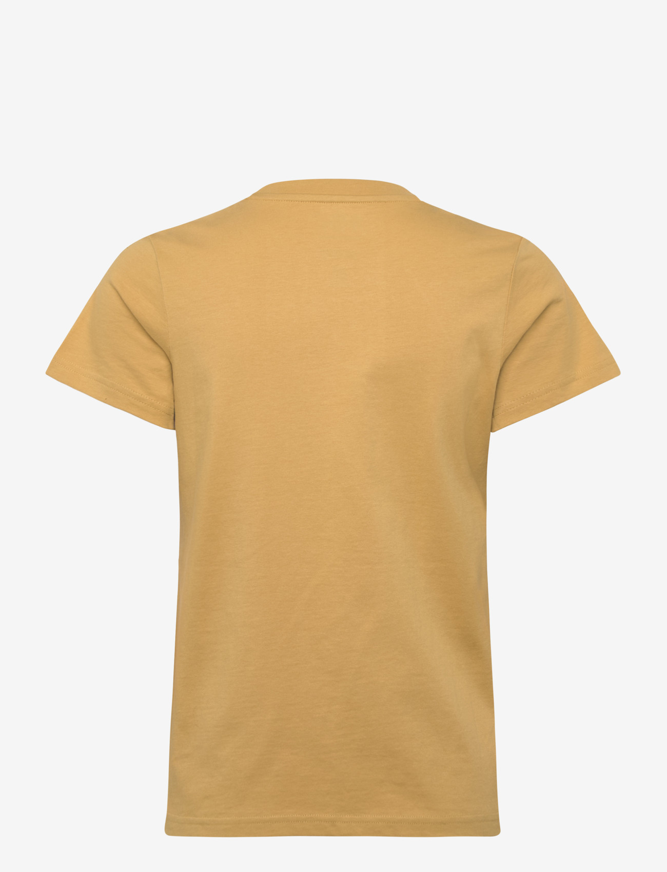 Helly Hansen - W MASSIF GRAPHIC T-SHIRT - t-shirts - sand - 1