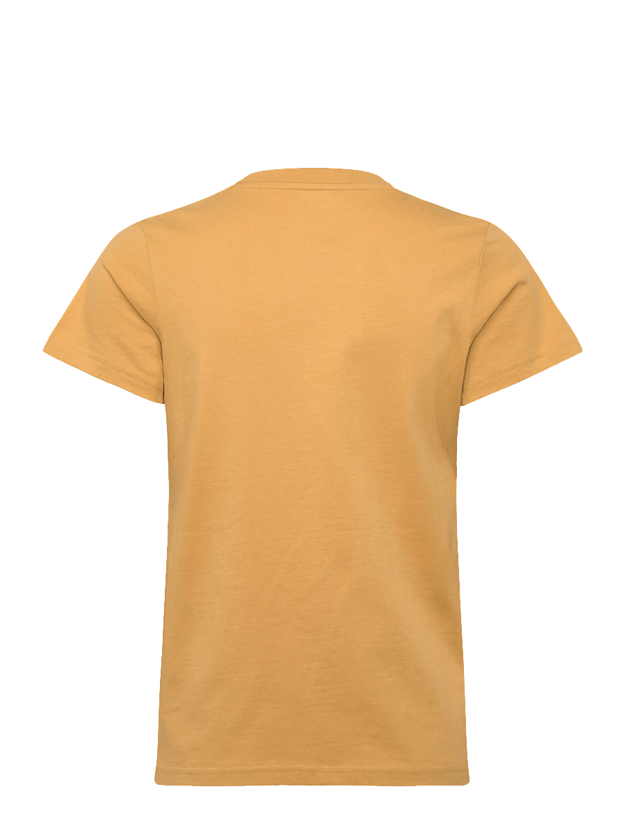 Helly Hansen - W MASSIF GRAPHIC T-SHIRT - t-shirts - sand - 1