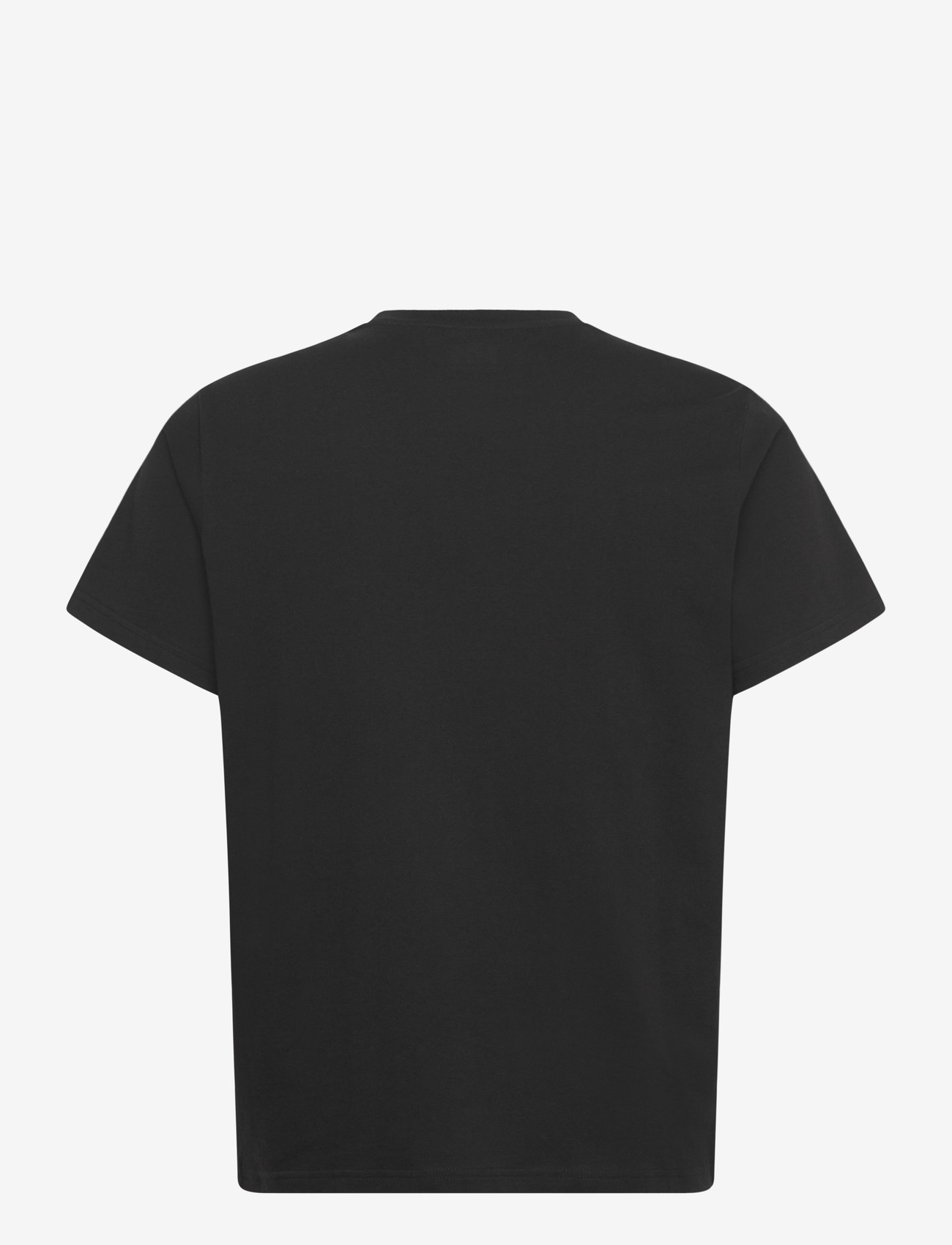 Helly Hansen - CORE GRAPHIC T 2.0 - t-shirts - black - 2
