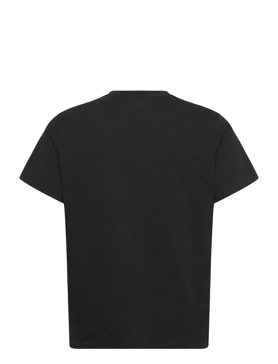 Helly Hansen - CORE GRAPHIC T 2.0 - t-shirts - black - 2