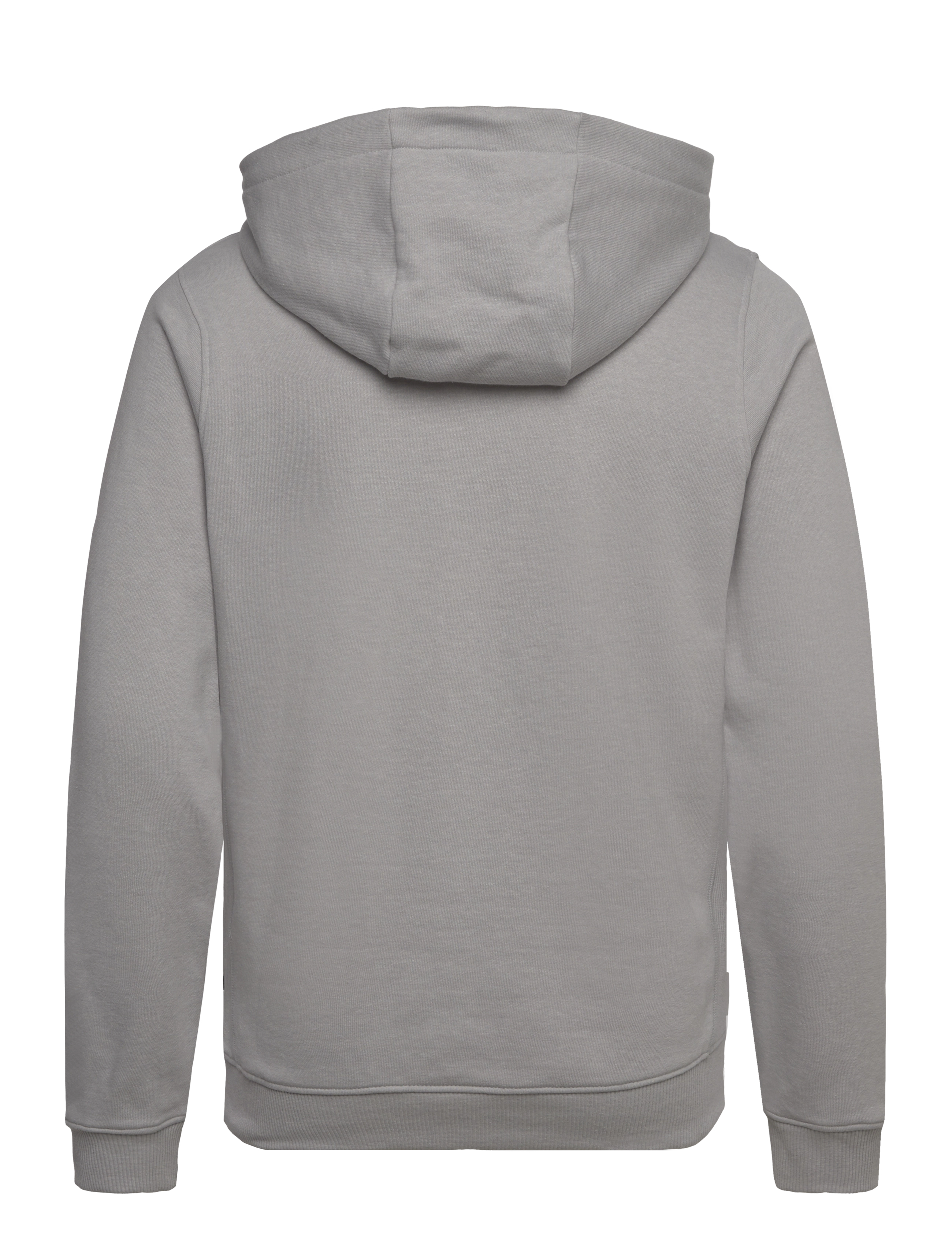 Helly Hansen - F2F ORGANIC COTTON HOODIE - grey fog me - 1