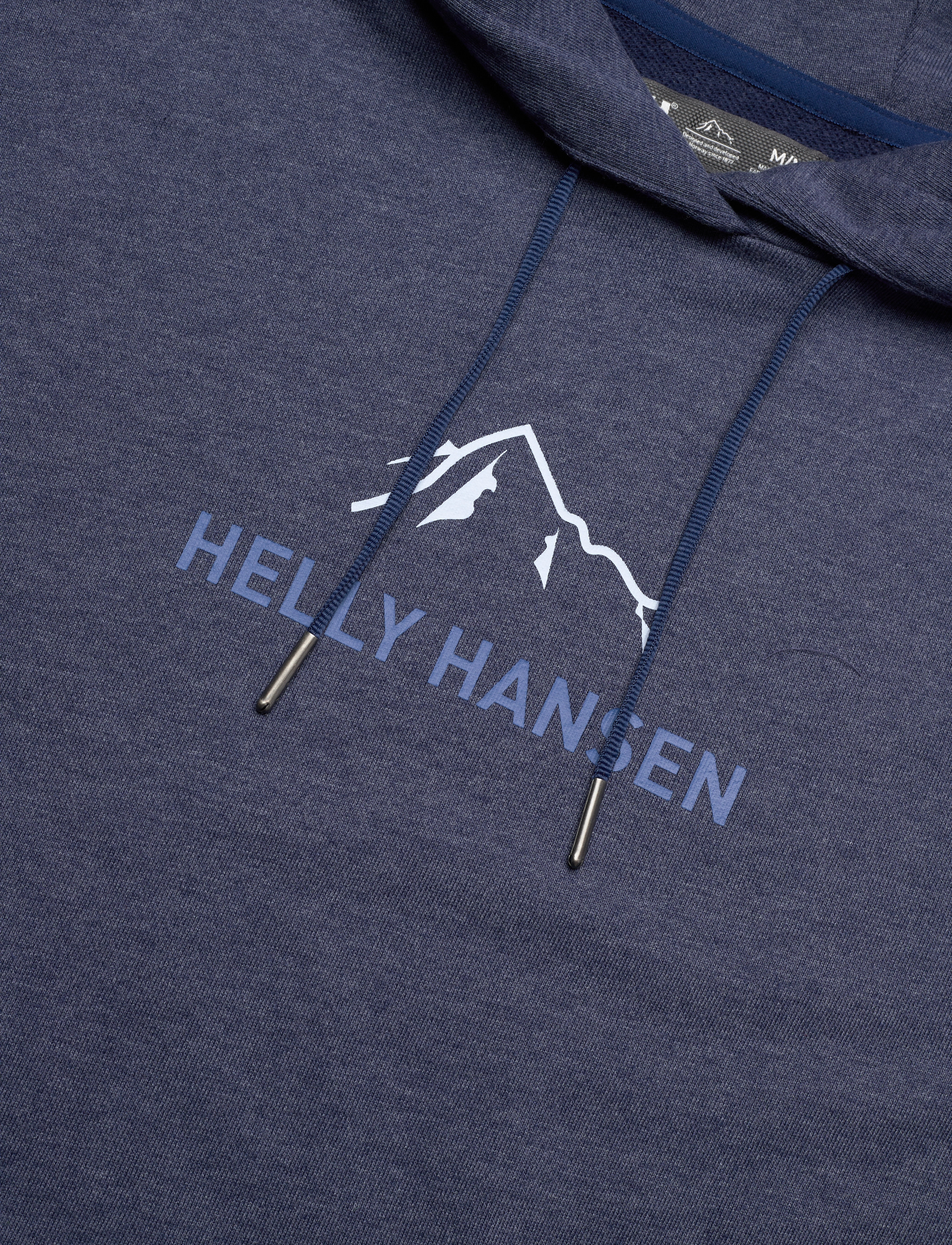 Helly Hansen - F2F ORGANIC COTTON HOODIE - ocean melange - 2