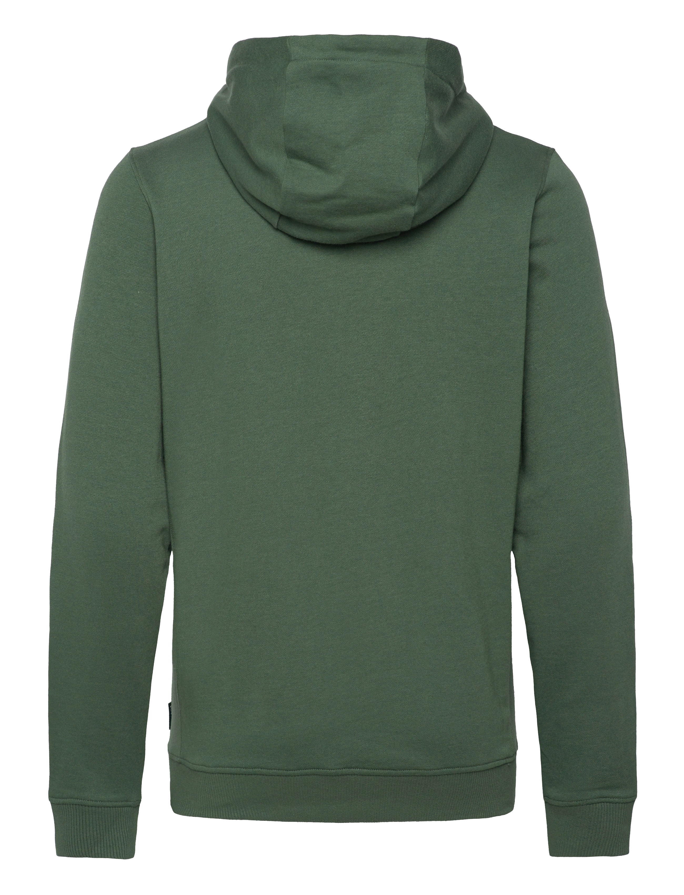 Helly Hansen - F2F ORGANIC COTTON HOODIE - spruce - 1