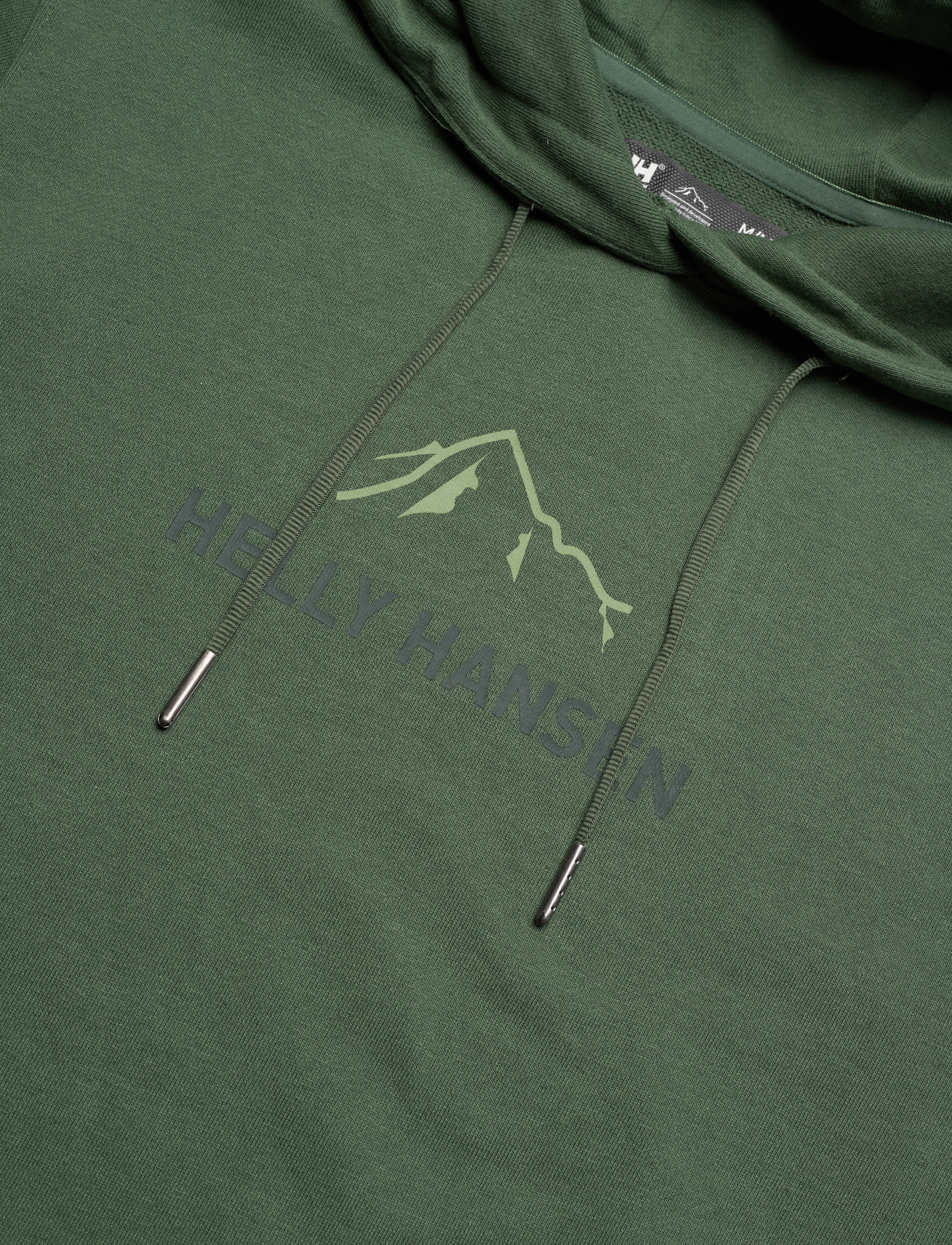 Helly Hansen - F2F ORGANIC COTTON HOODIE - spruce - 2