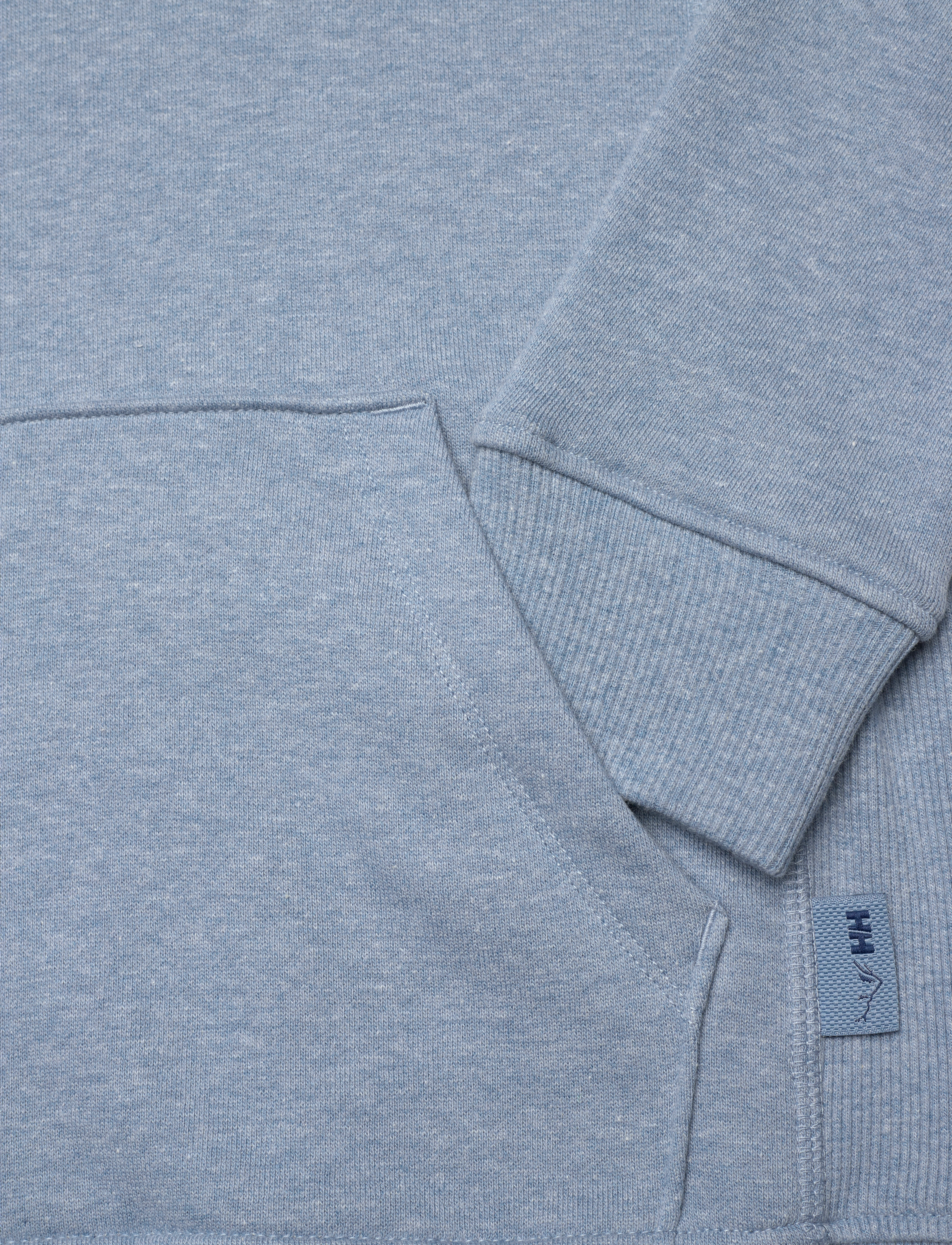 Helly Hansen - W F2F ORGANIC COTTON HOODIE - blue fog me - 3