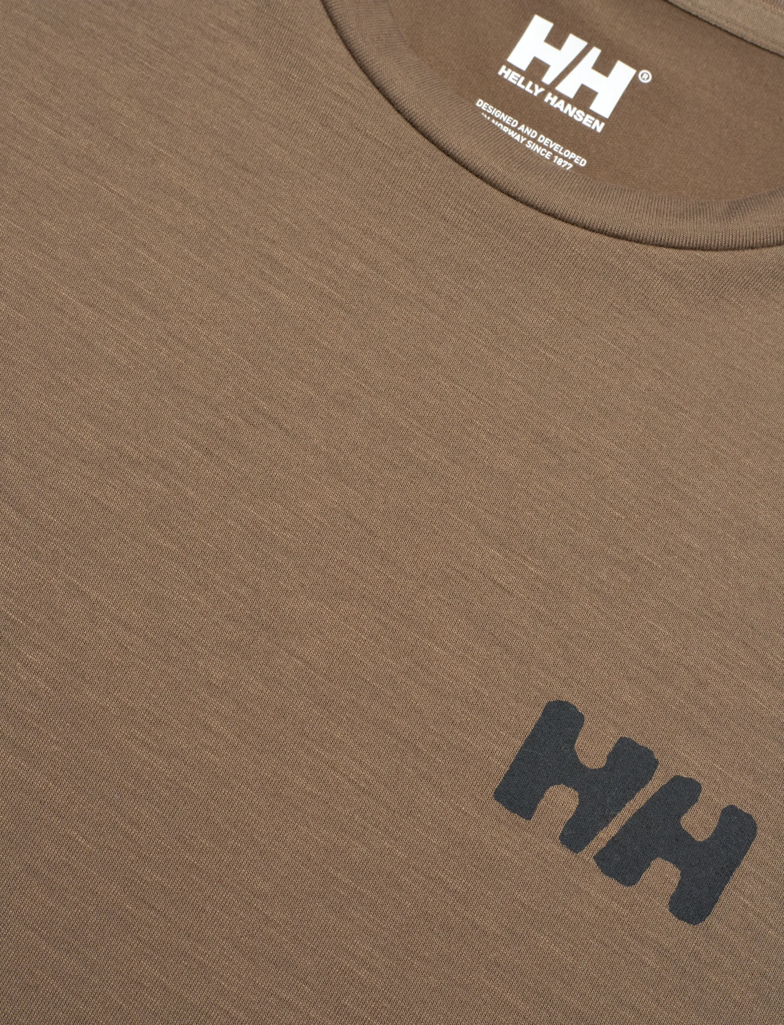 Helly Hansen - SKOG GRAPHIC T-SHIRT - t-shirts - bedrock - 5