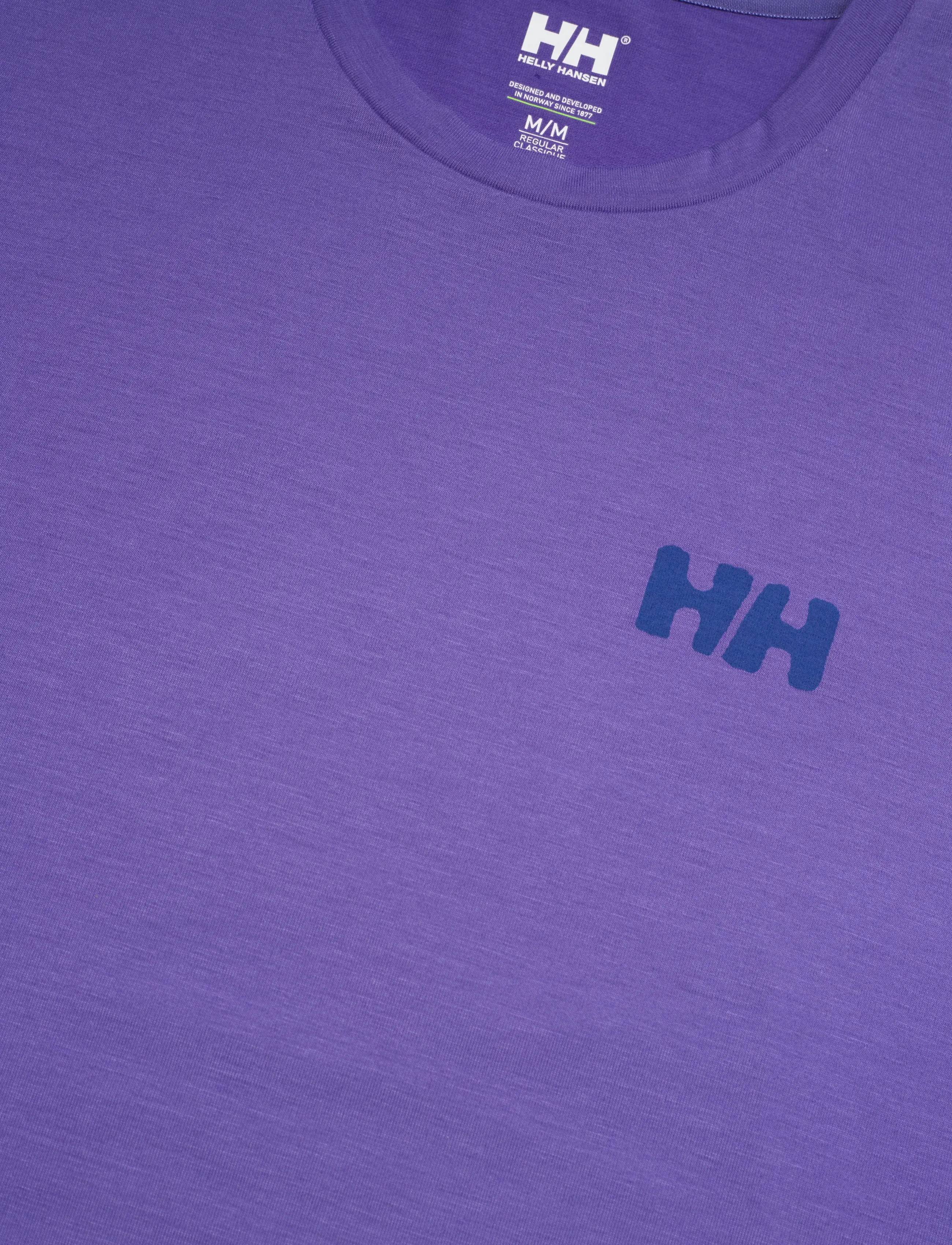 Helly Hansen - SKOG GRAPHIC T-SHIRT - t-shirts - ultra viole - 4