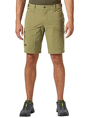 Helly Hansen - VERGLAS TUR SHORTS - lühikesed spordipüksid - terrain gre - 2