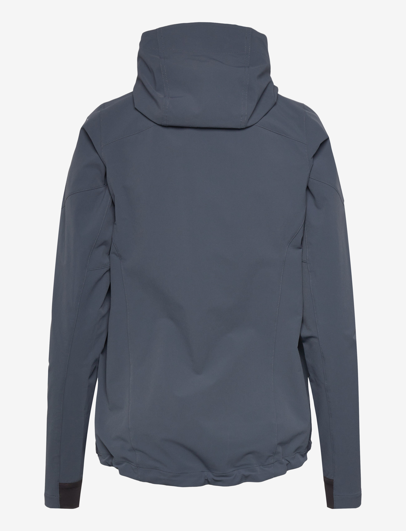 Helly Hansen - W BLAZE SOFTSHELL HOOD - outdoor & rain jackets - alpine fros - 2