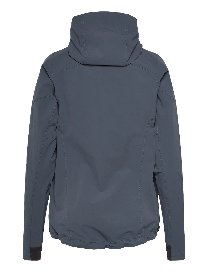 Helly Hansen - W BLAZE SOFTSHELL HOOD - outdoor jacken - alpine fros - 2
