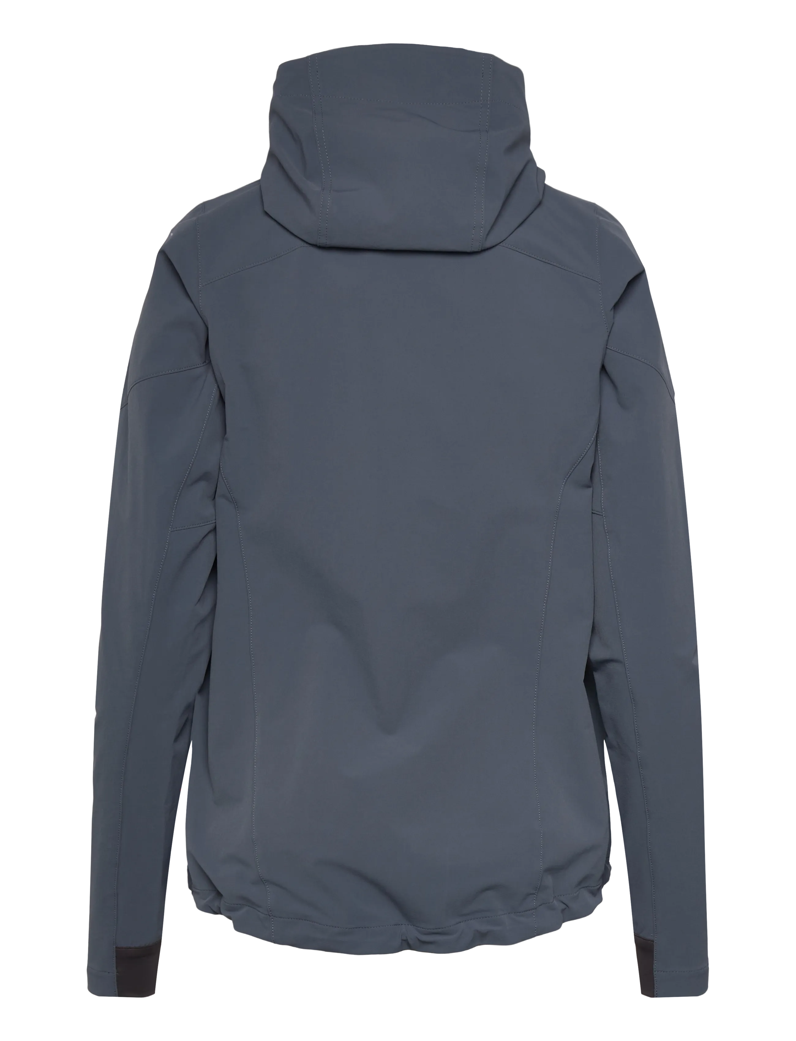 Helly Hansen - W BLAZE SOFTSHELL HOOD - sport - alpine fros - 2