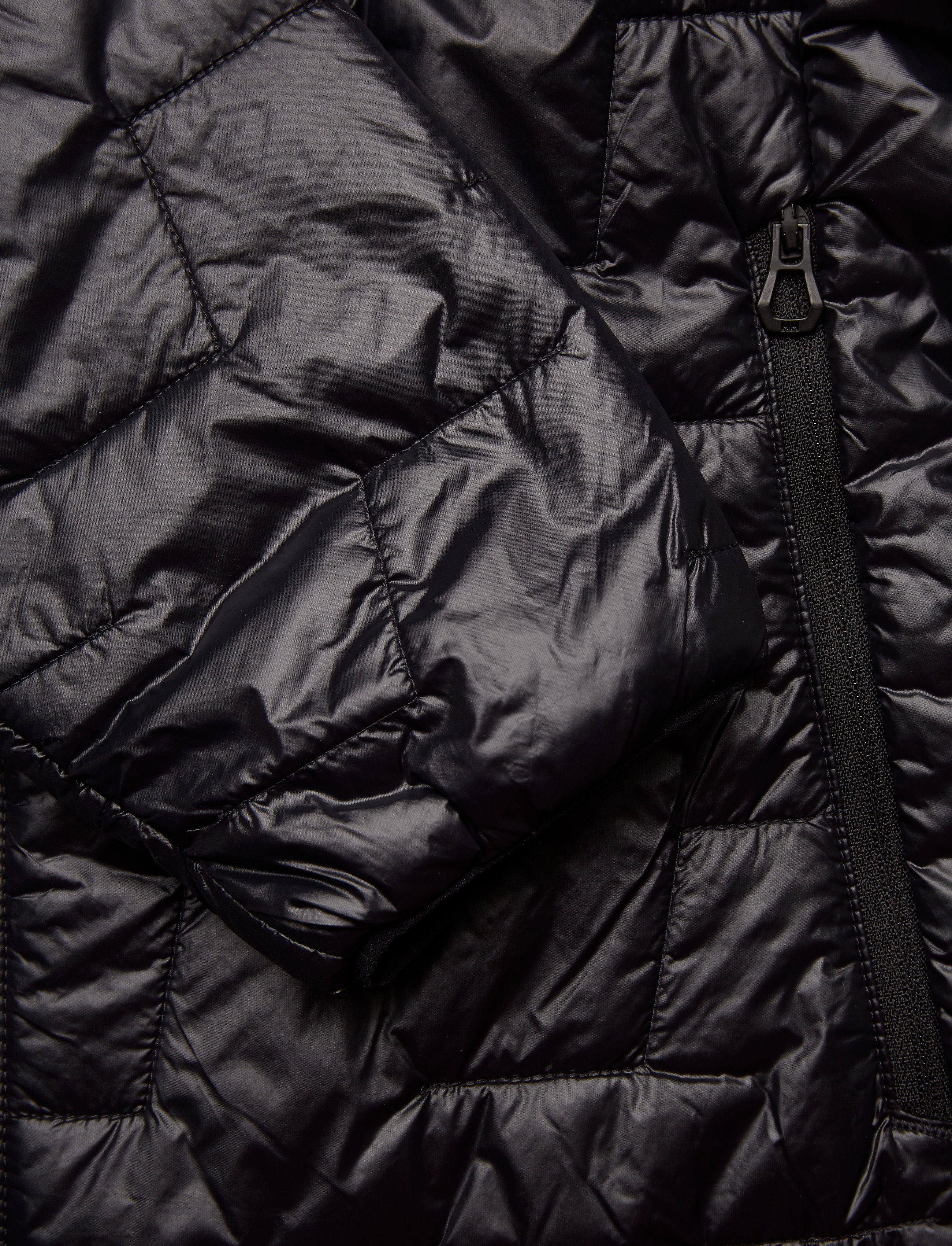 Helly Hansen - W LIFALOFT INSULATOR JACKET - gefütterte & daunenjacken - black - 4