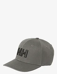 Helly Hansen - HH BRAND CAP - zemākās cenas - concrete - 0