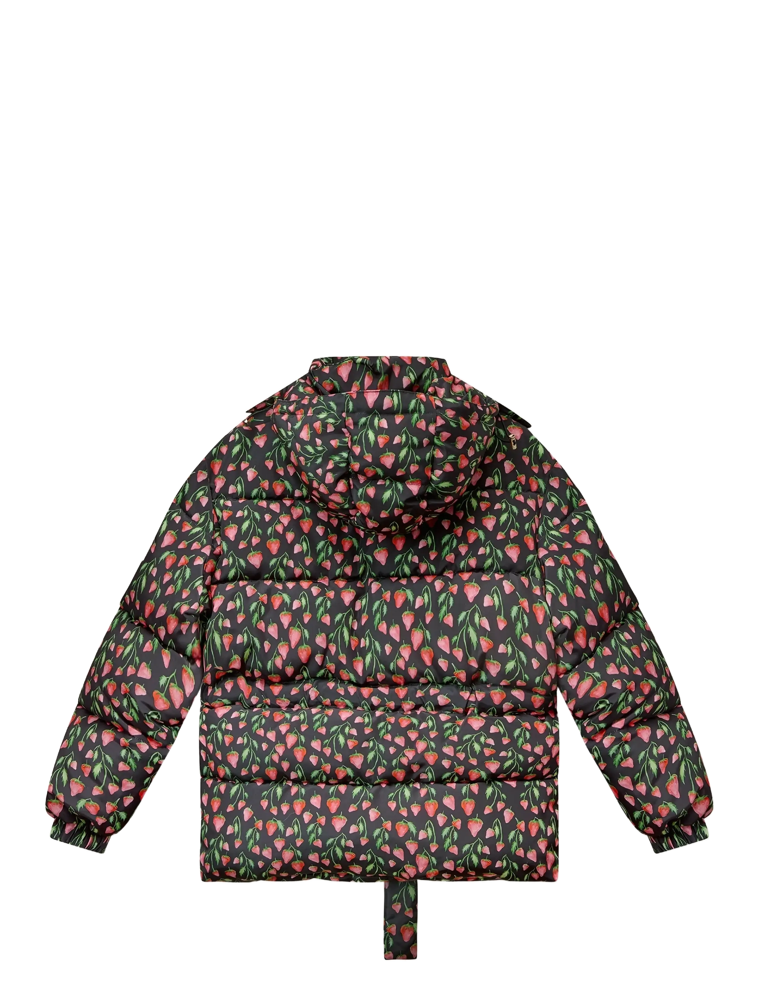 Helmstedt - Betty Jacket - gefütterte & daunenjacken - strawberry black - 2
