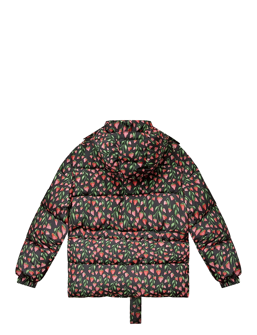Helmstedt - Betty Jacket - gefütterte & daunenjacken - strawberry black - 2