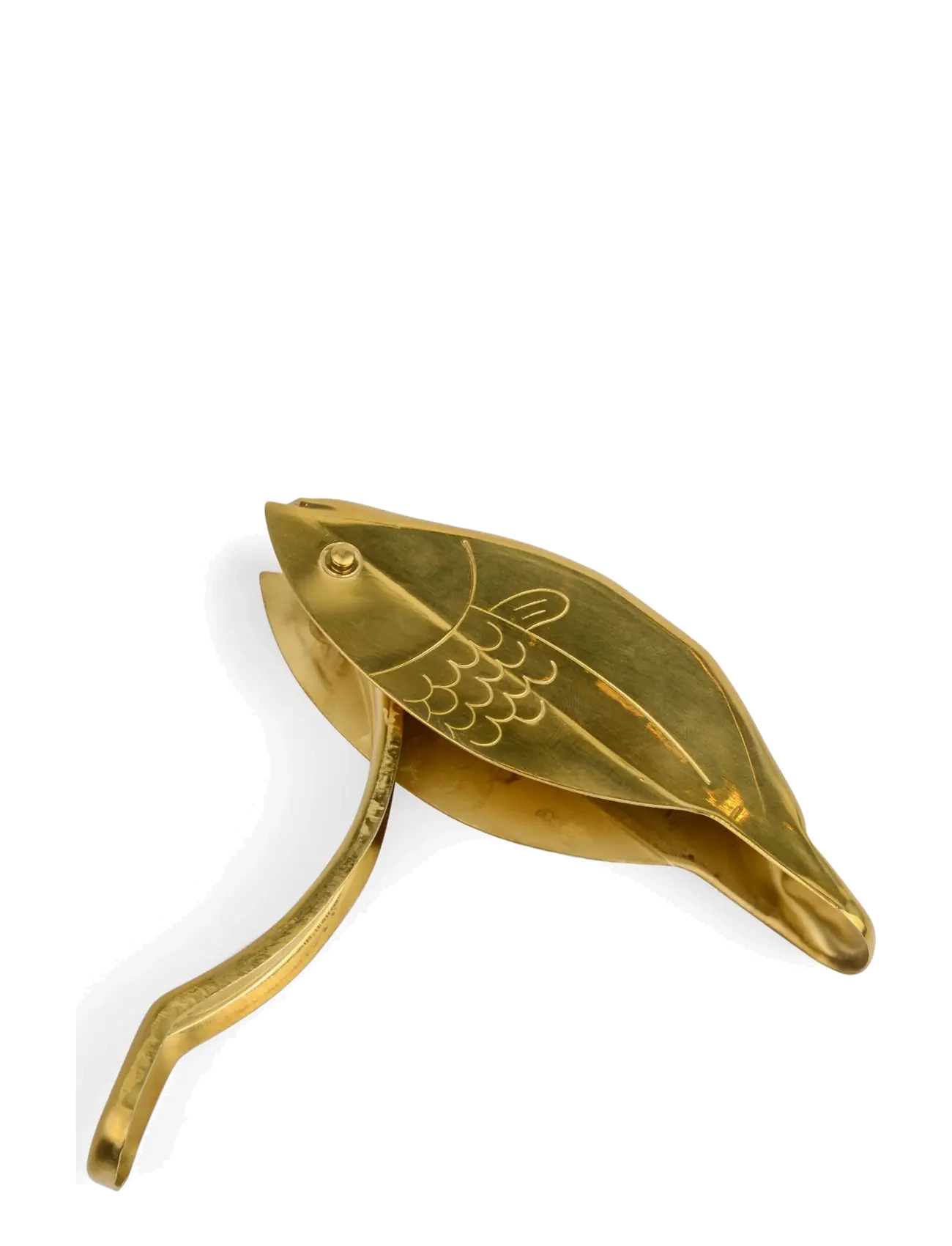 Here's How - Citruspress, Fisk The Stevie - tsitrusepressid - gold - 4
