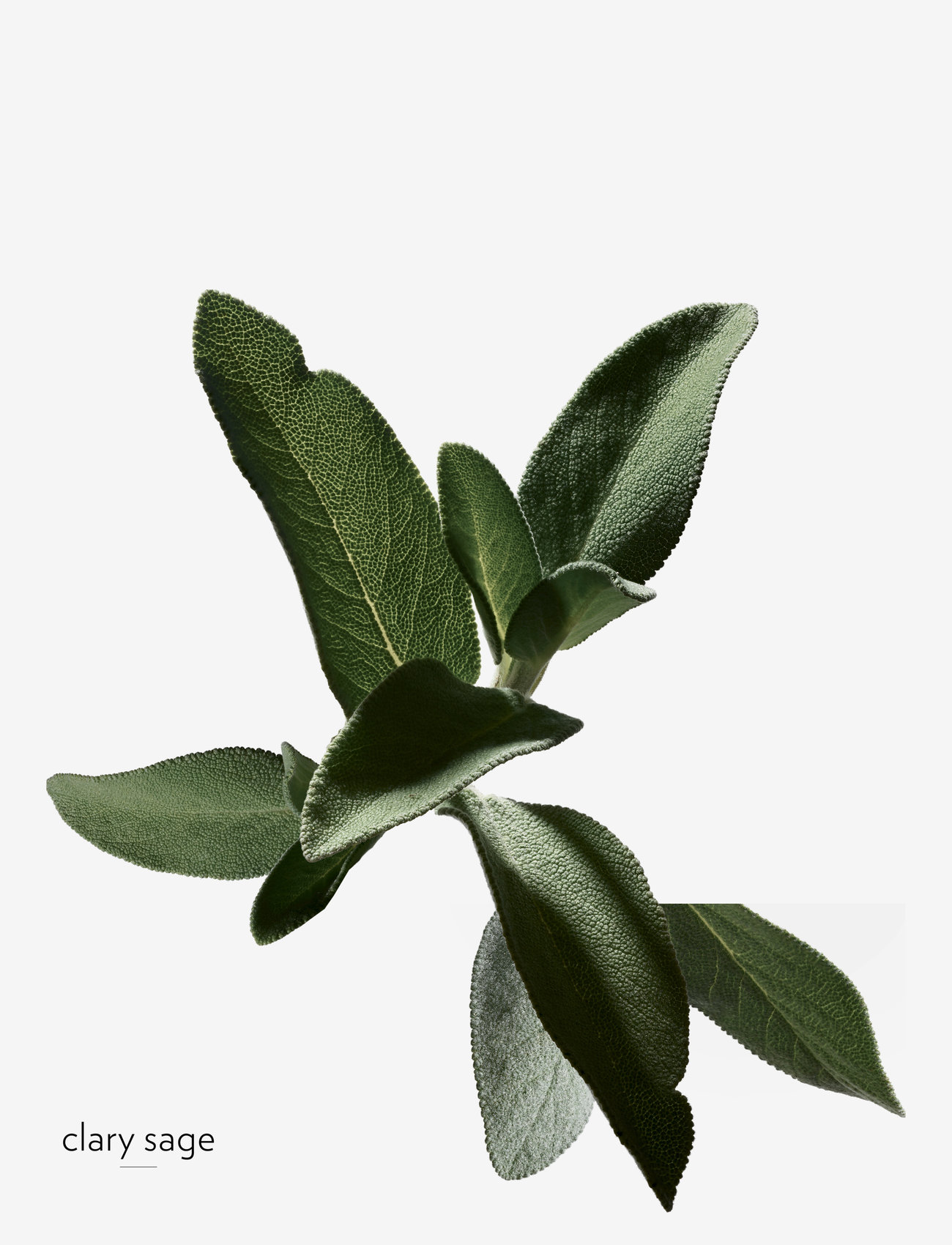 HERMÈS - H24, Eau de Toilette - till honom  - clear - 3