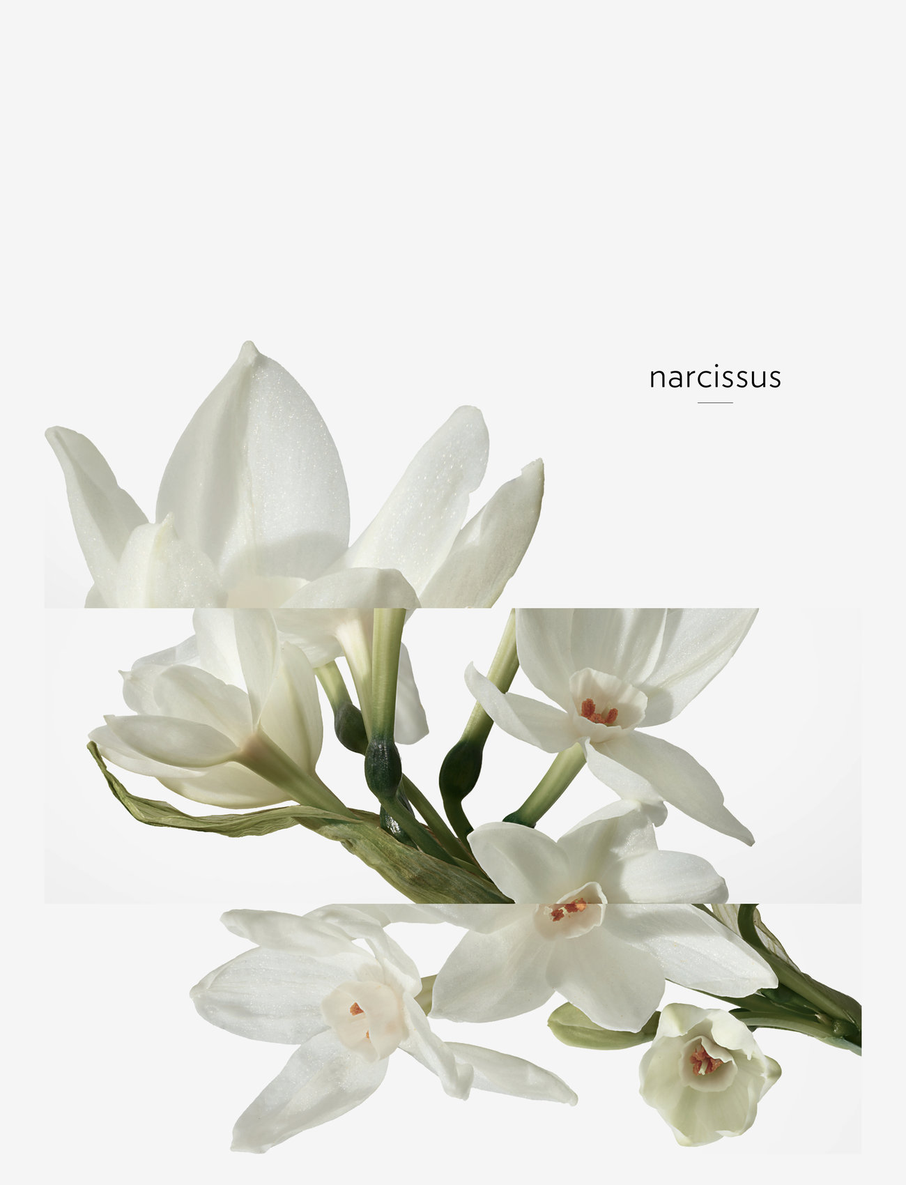 HERMÈS - H24, Eau de Toilette - till honom  - clear - 4