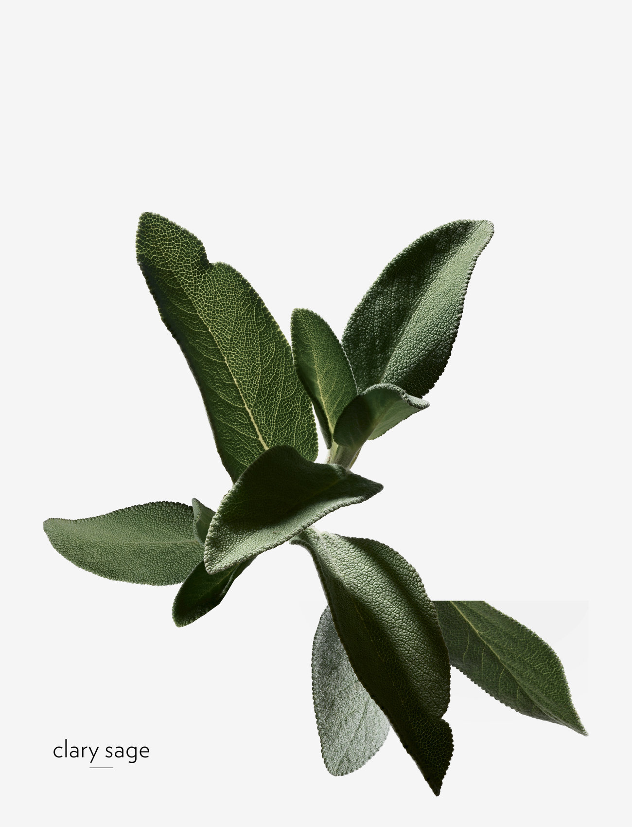 HERMÈS - H24, Eau de Toilette - til ham  - clear - 3