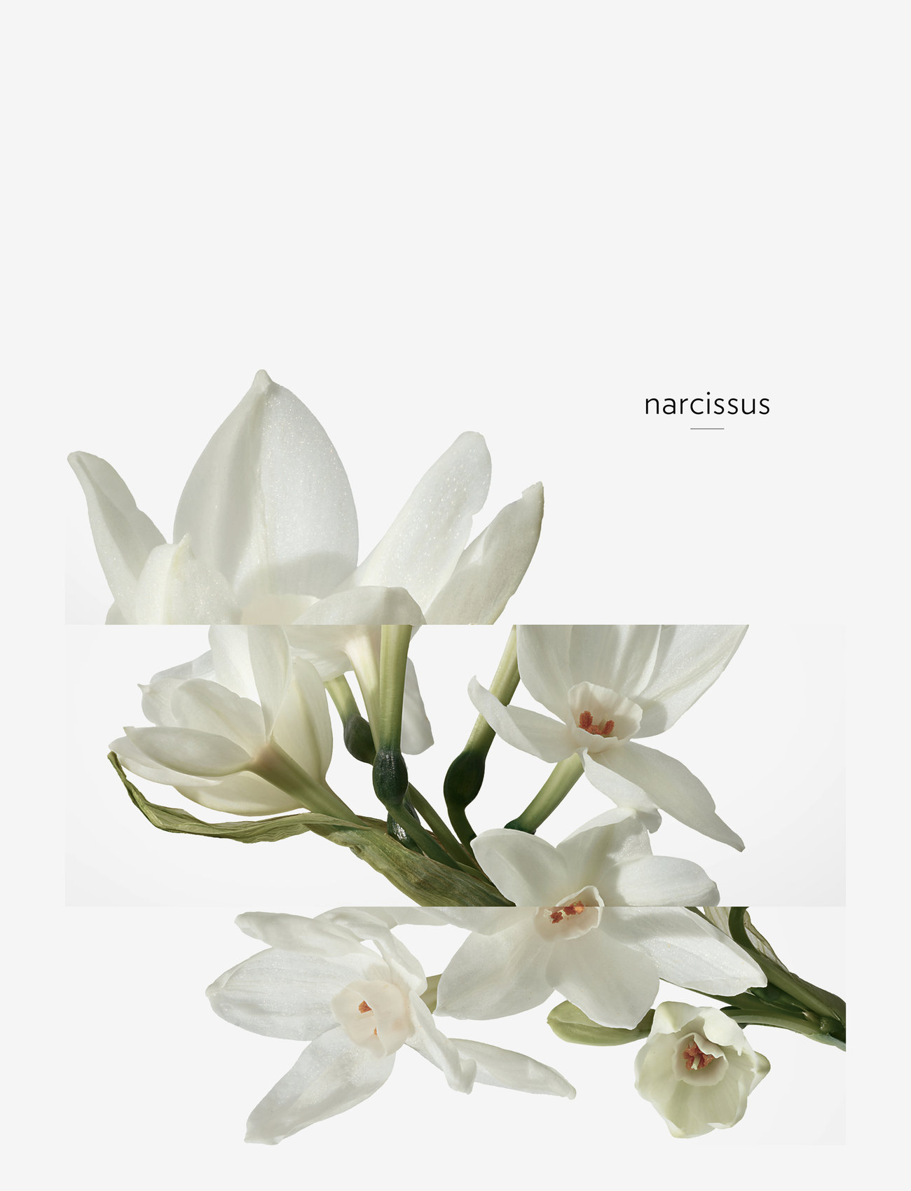 HERMÈS - H24, Eau de Toilette - til ham  - clear - 4