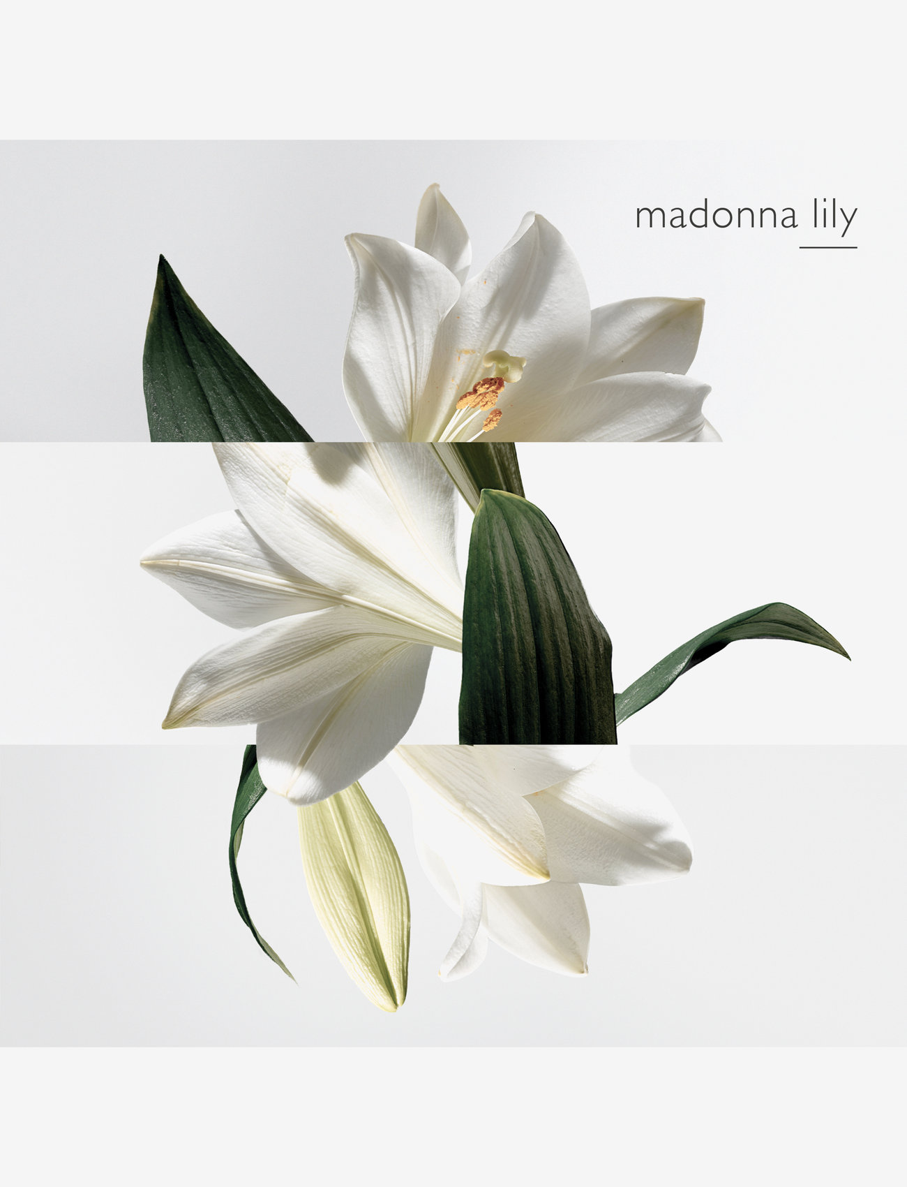 HERMÈS - Jardin sur la Lagune, Eau de Toilette - til hende  - clear - 1