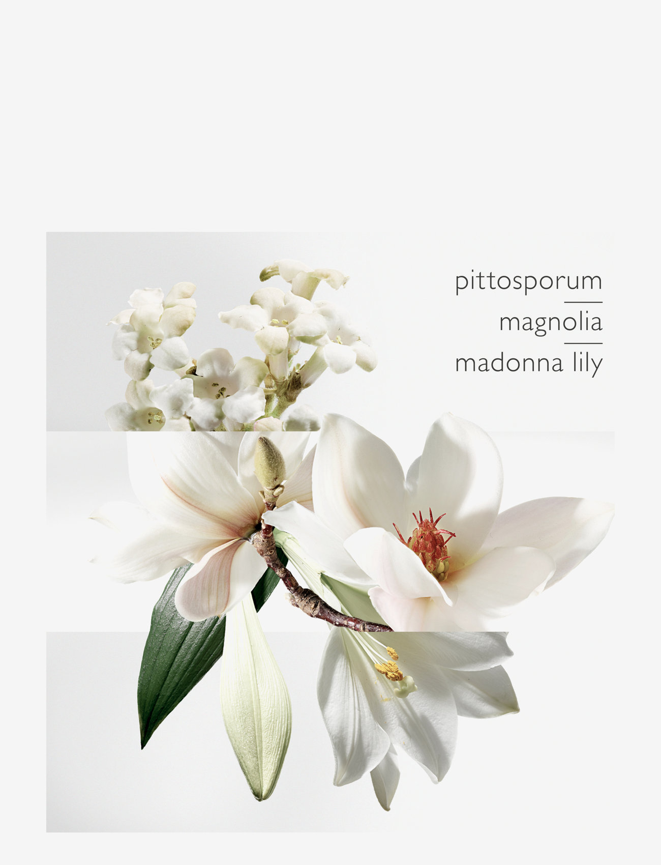 HERMÈS - Jardin sur la Lagune, Eau de Toilette - til hende  - clear - 3