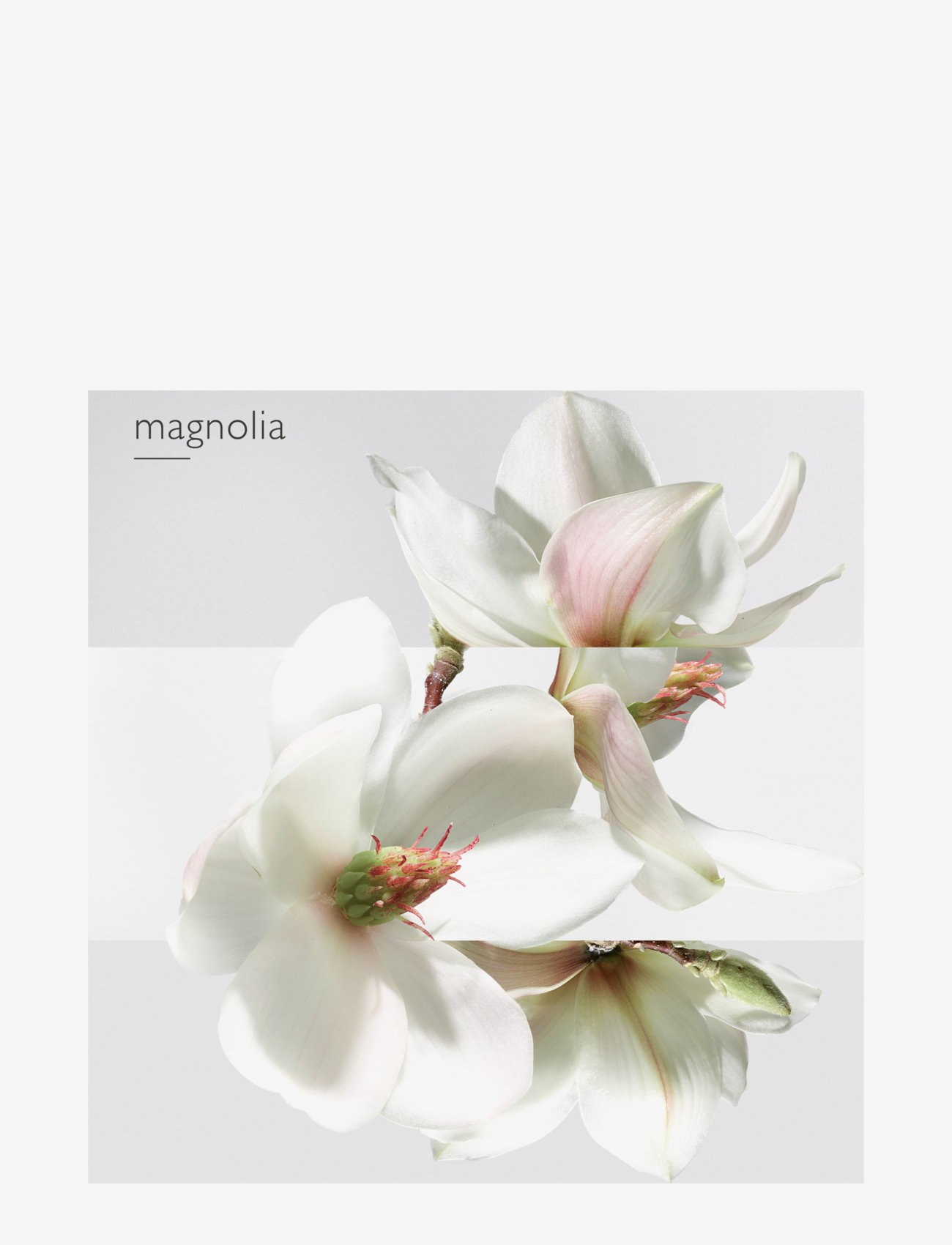 HERMÈS - Jardin sur la Lagune, Eau de Toilette - til hende  - clear - 4