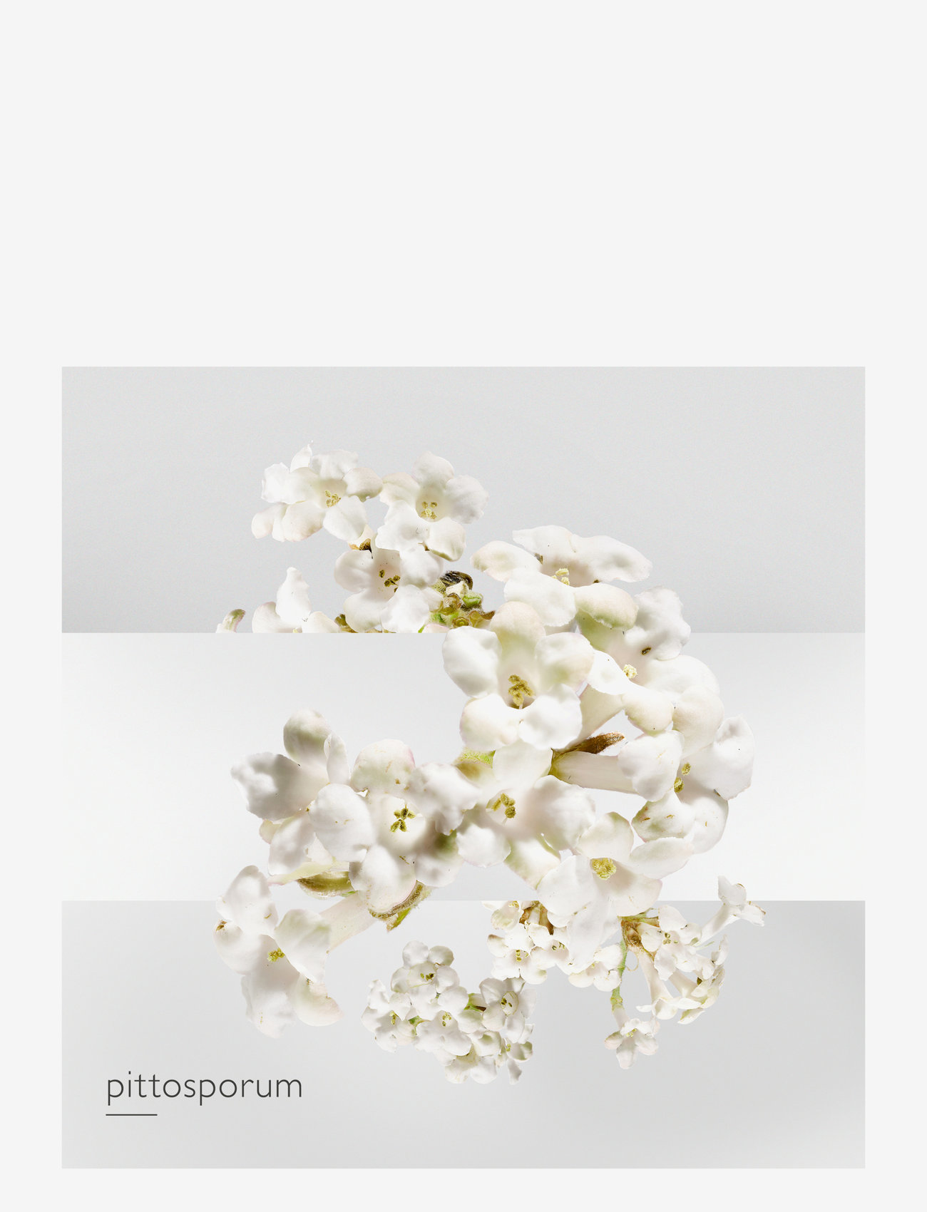 HERMÈS - Jardin sur la Lagune, Eau de Toilette - til hende  - clear - 5