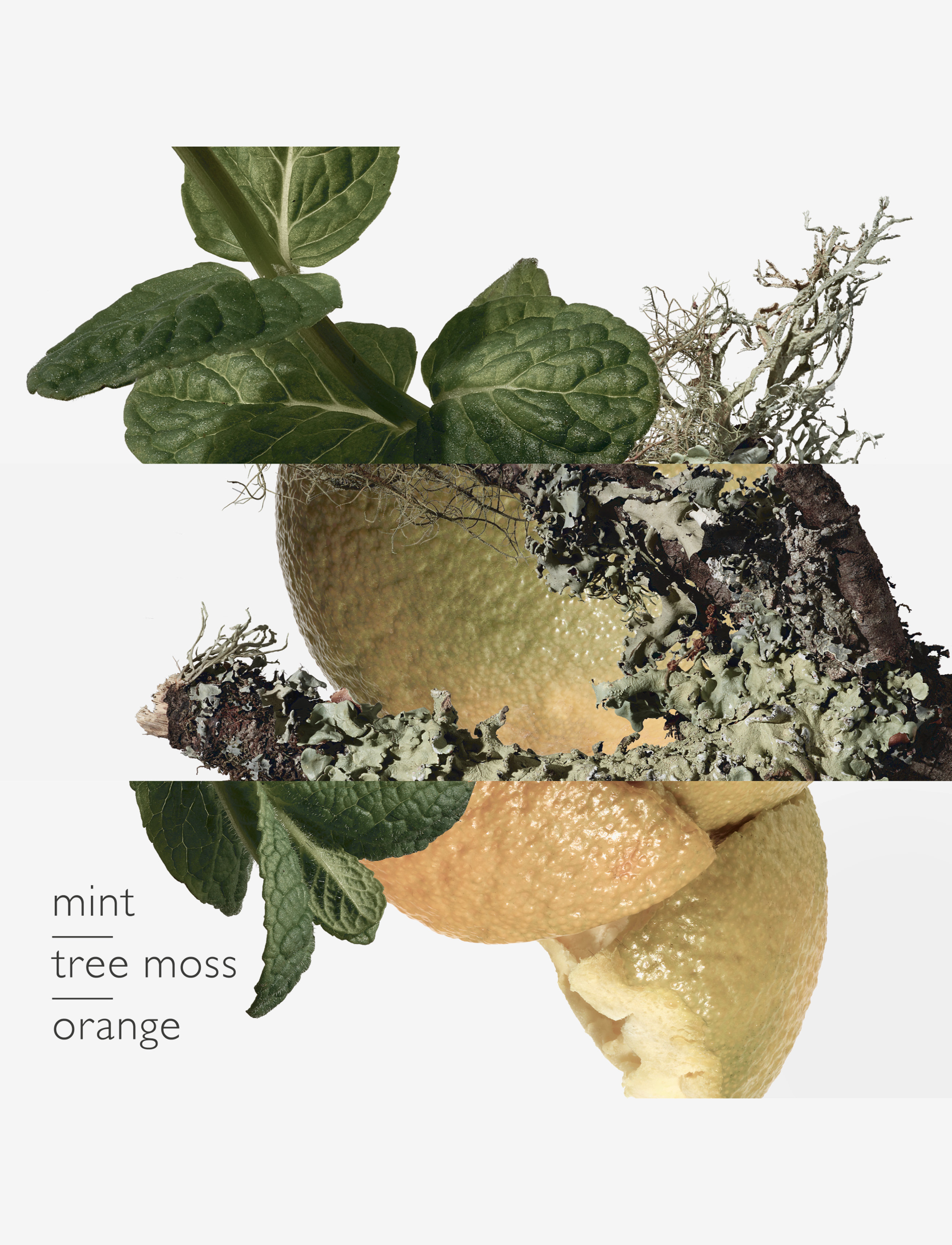 Eau D'orange Verte, Eau De Cologne 5