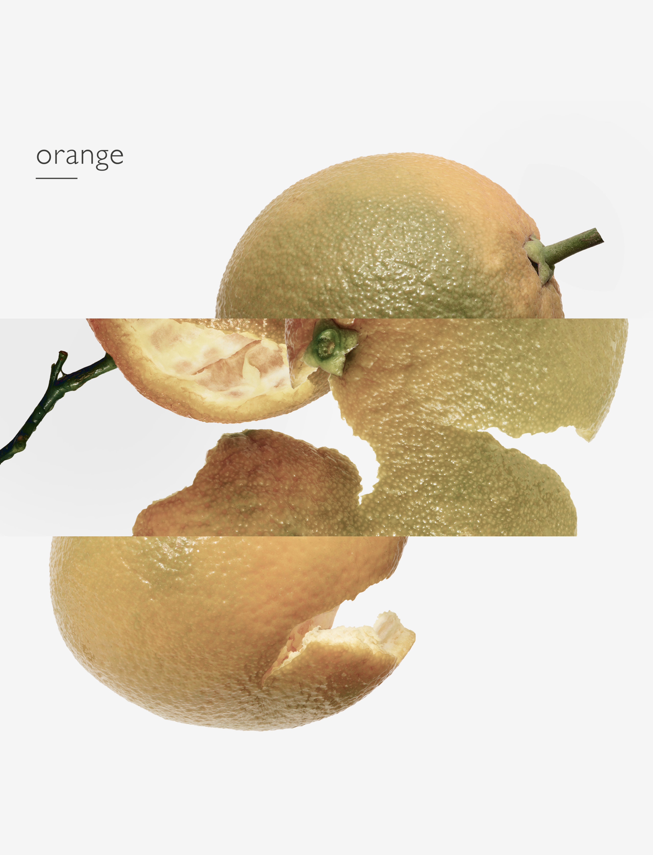 Eau D'orange Verte, Eau De Cologne 6