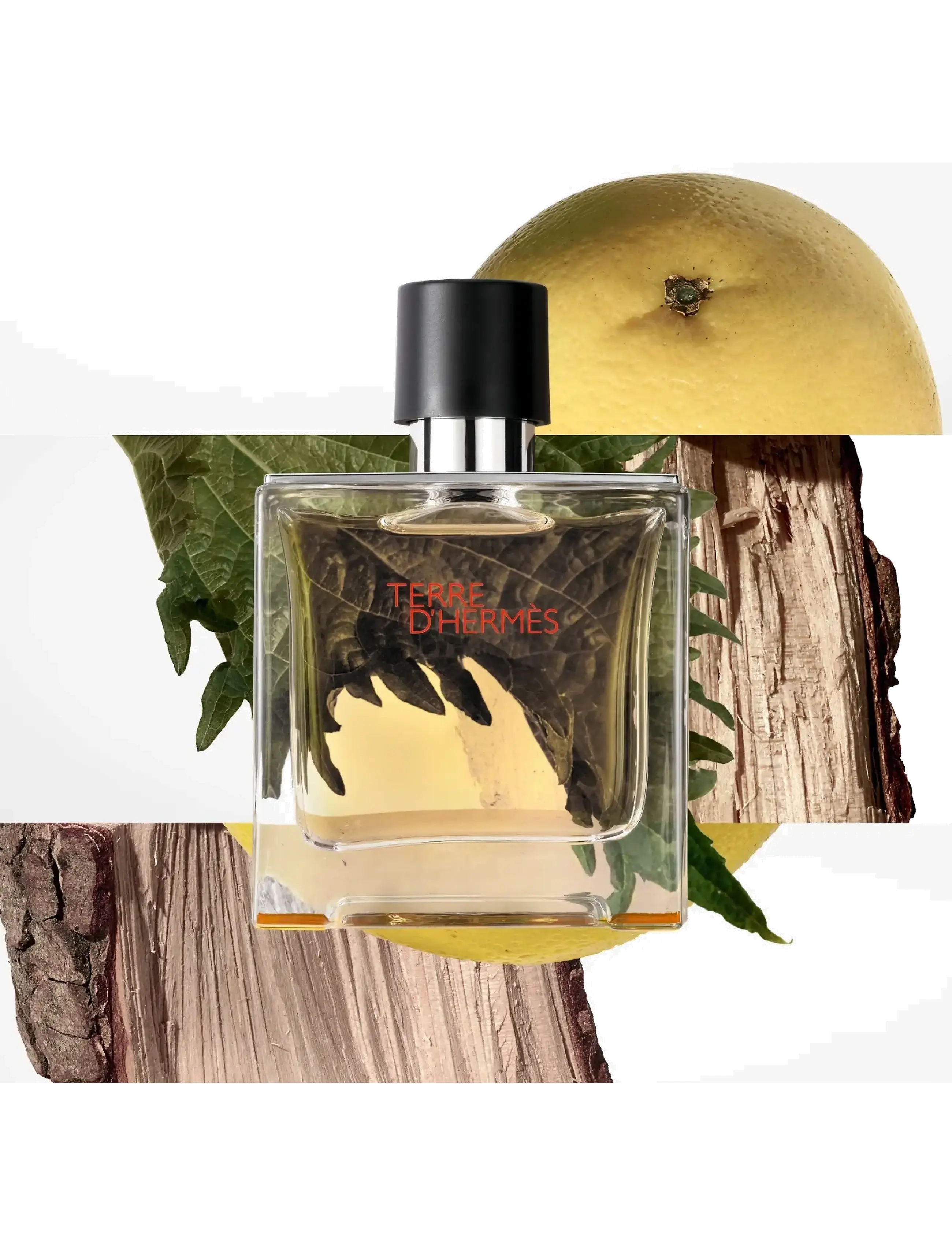 HERMÈS - Terre d'Hermès, Parfum Refill - til ham  - clear - 2