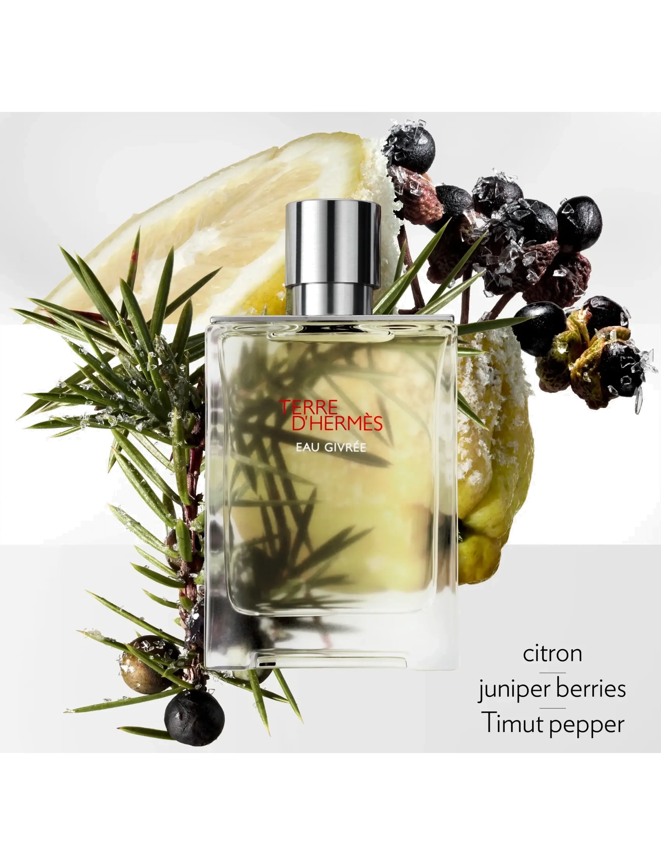 Terre D'hermès, Eau Givrée Eau De Parfum 3