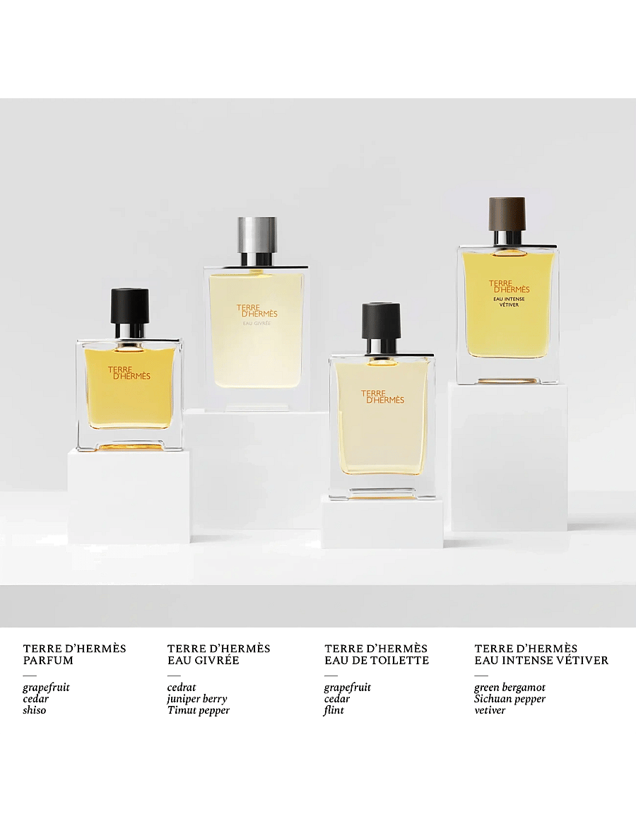 HERMÈS - Terre d'Hermès, Eau Givrée Eau de Parfum - til ham - clear - 3