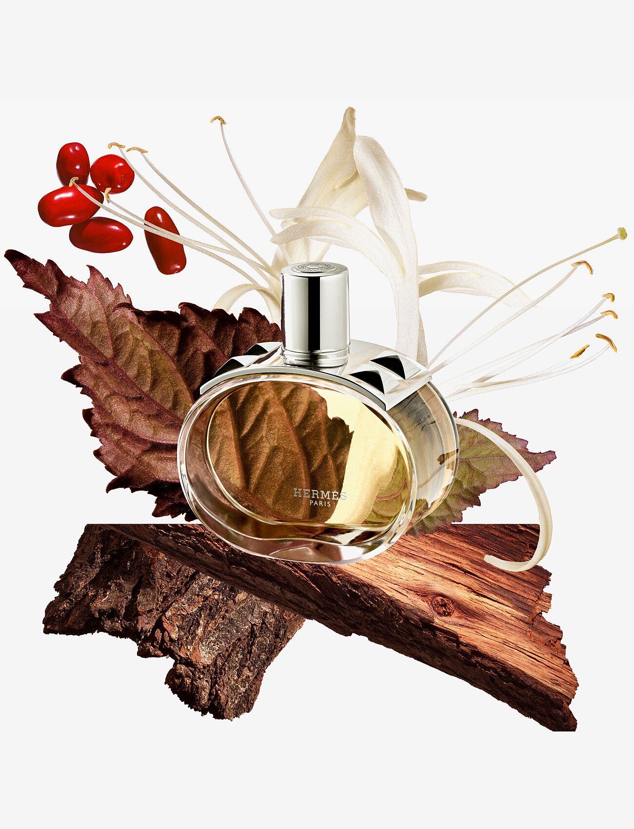 HERMÈS - Barénia, Perfumed Body Cream - lotion & cream - clear - 2