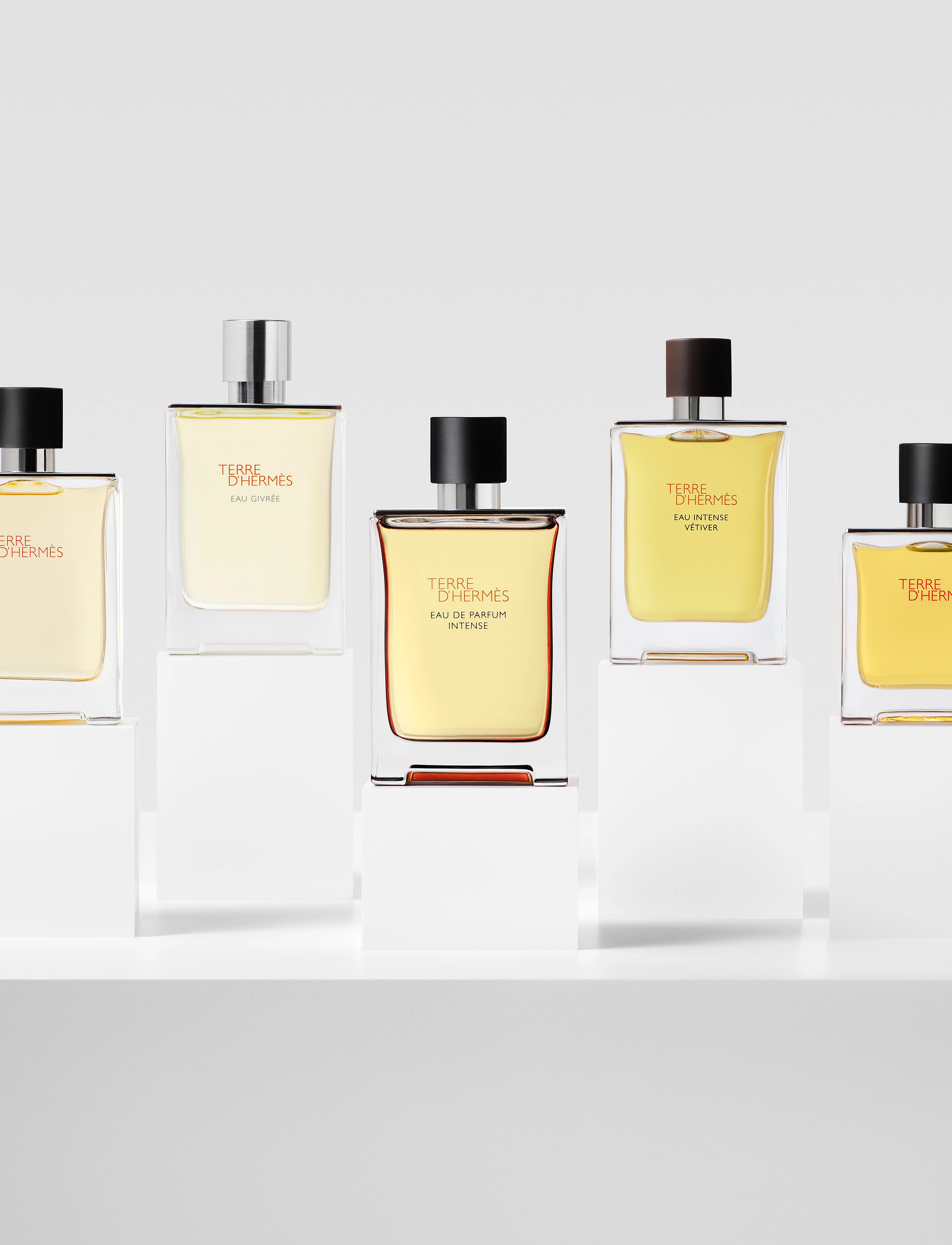 HERMÈS Terre D'hermès, Eau de Parfum Intense - For ham - CLEAR / undefined