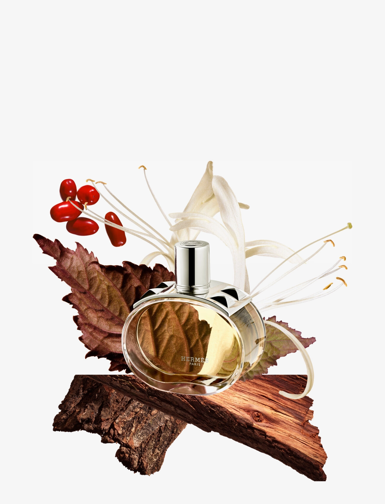 Hermès Barénia Eau de Parfum Spray 6