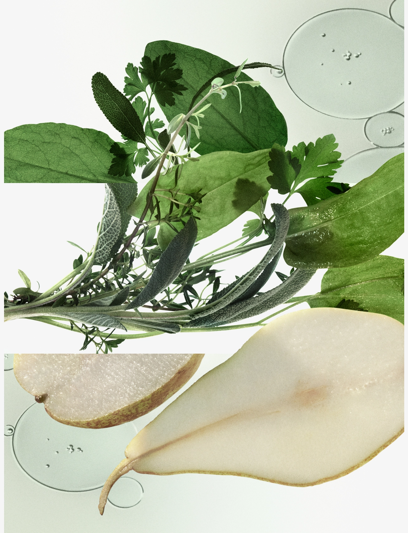 H24 Herbes Vives, Eau De Parfum 4