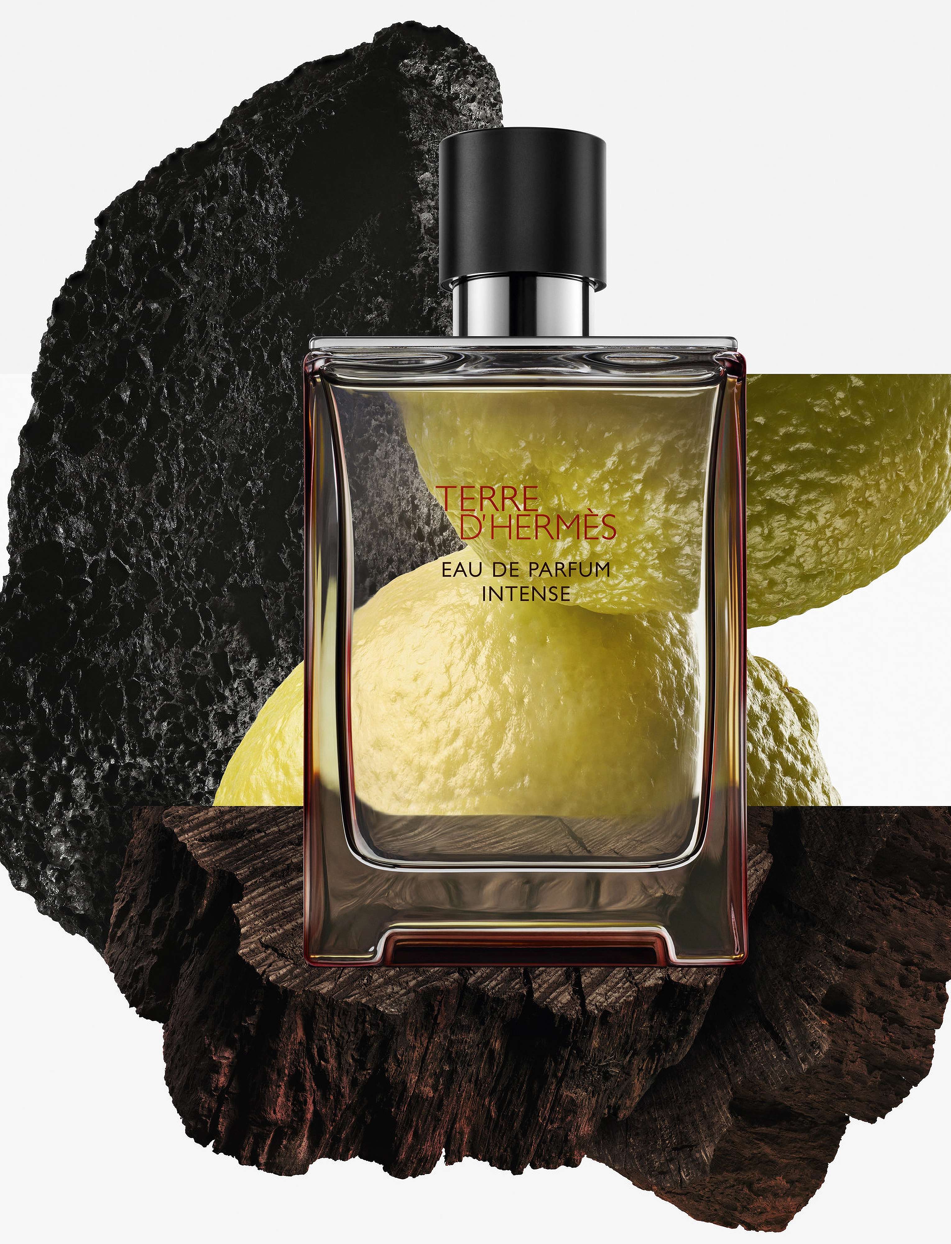 HERMÈS Terre D'hermès, Eau De Parfum Intense, 200 ml, Nude, Parfume > Eau De Parfum, Herre