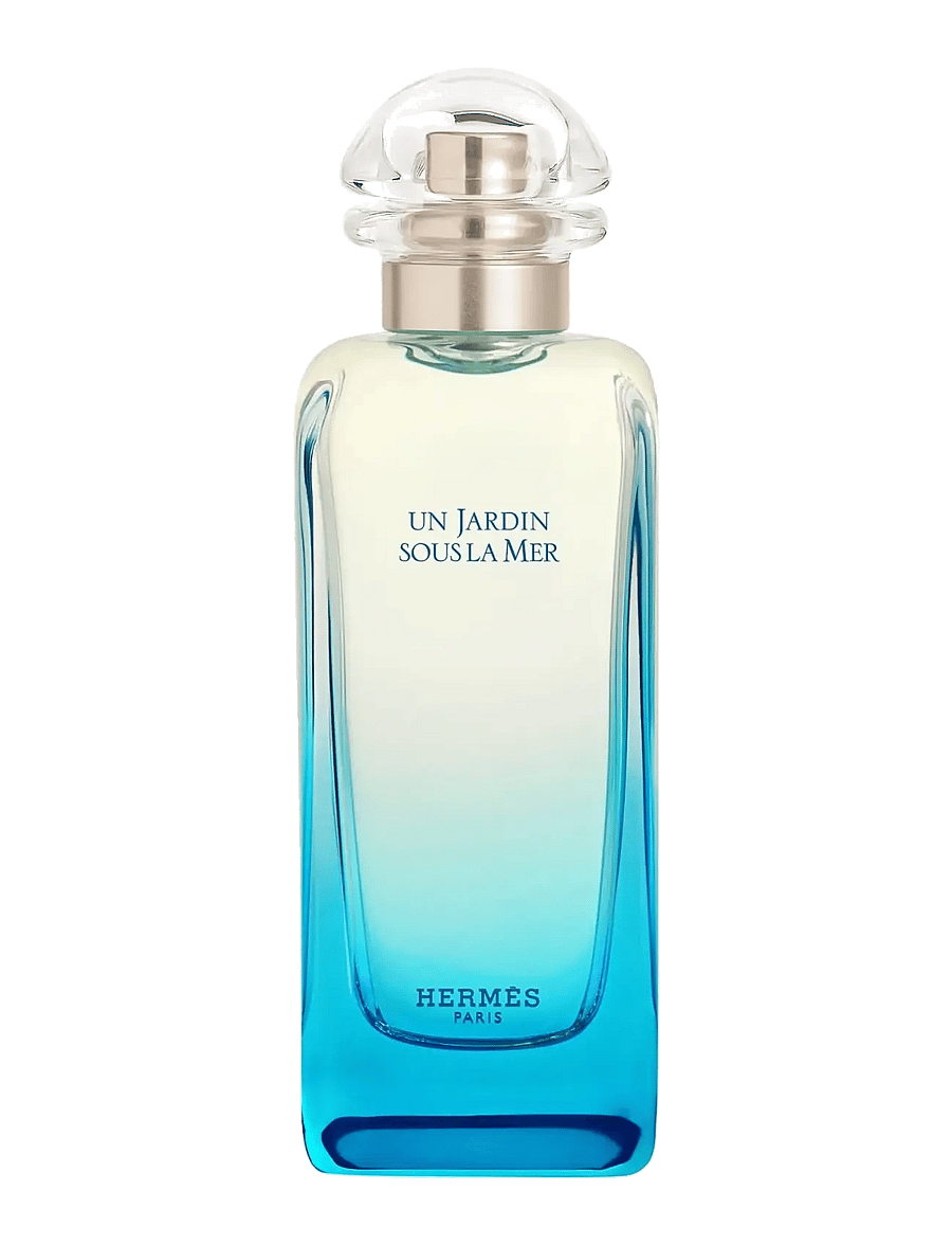 HERMÈS - Un Jardin sous la Mer - til ham - clear - 0