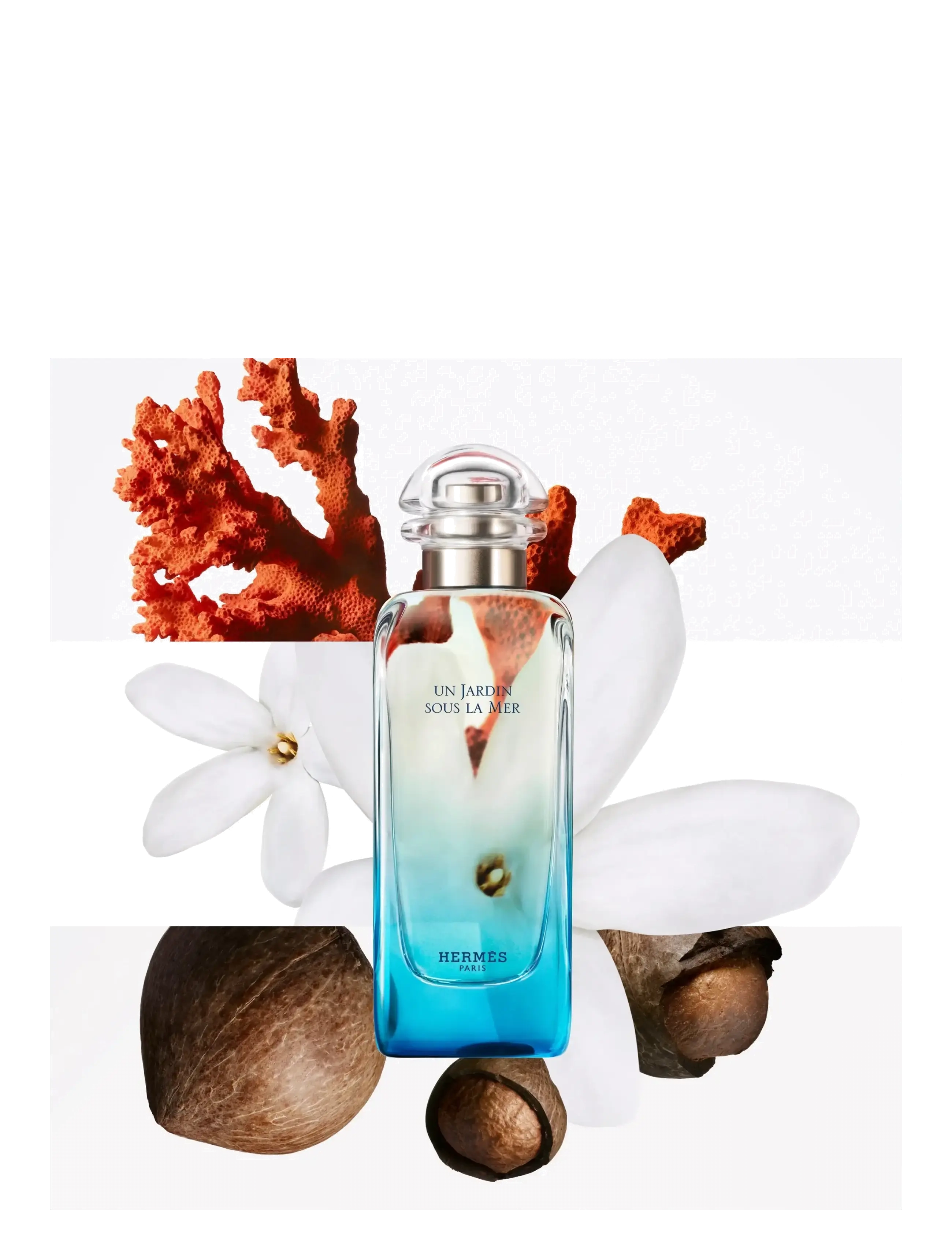 HERMÈS - Un Jardin sous la Mer - til ham  - clear - 2