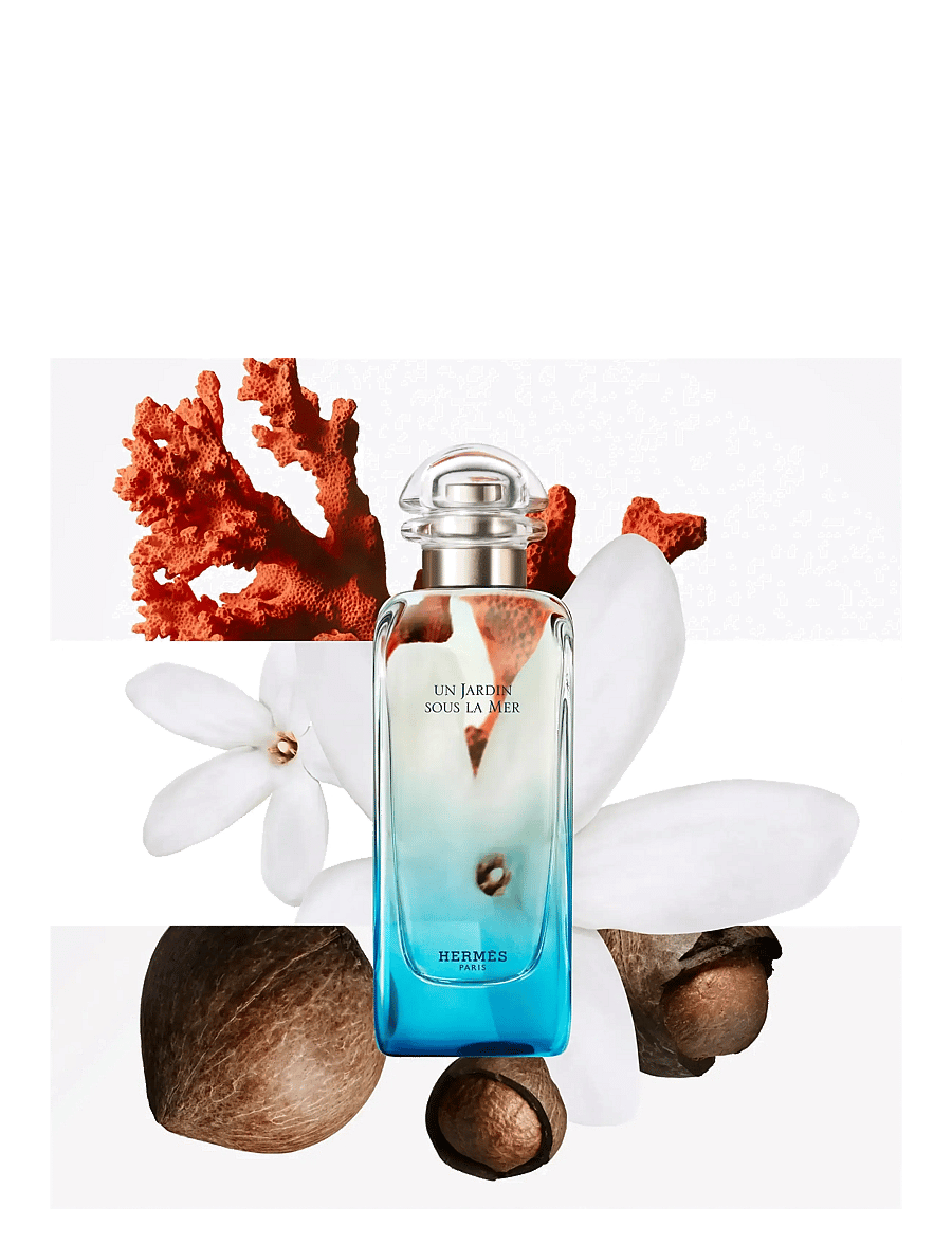 HERMÈS - Un Jardin sous la Mer - til ham - clear - 2