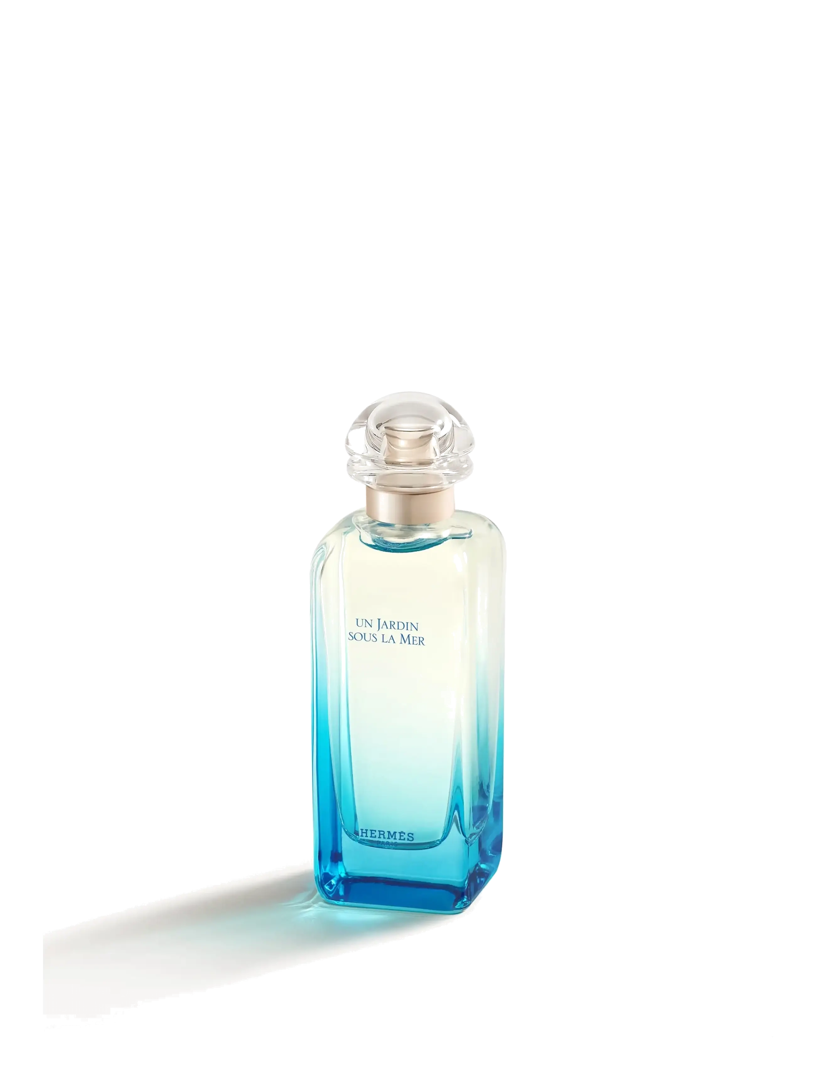 HERMÈS - Un Jardin sous la Mer - til ham  - clear - 3