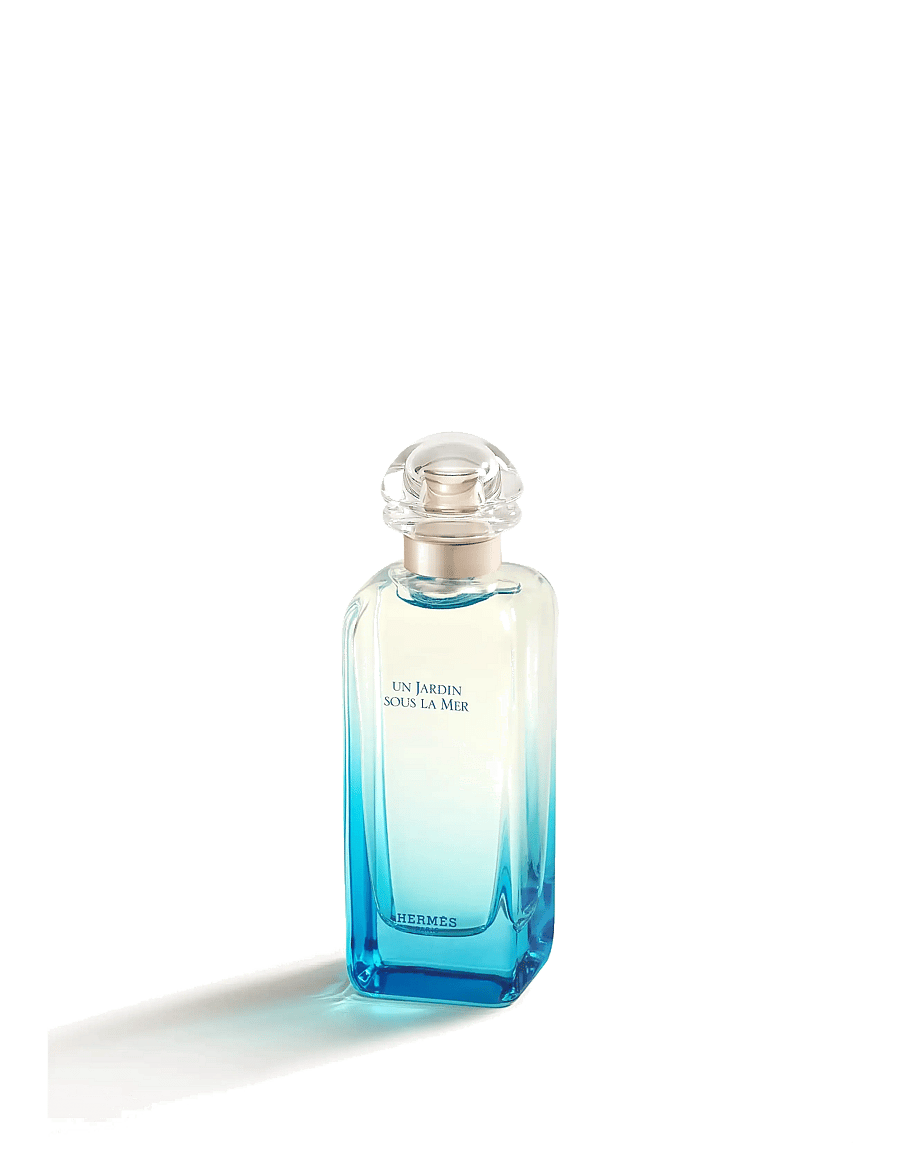HERMÈS - Un Jardin sous la Mer - til ham - clear - 3