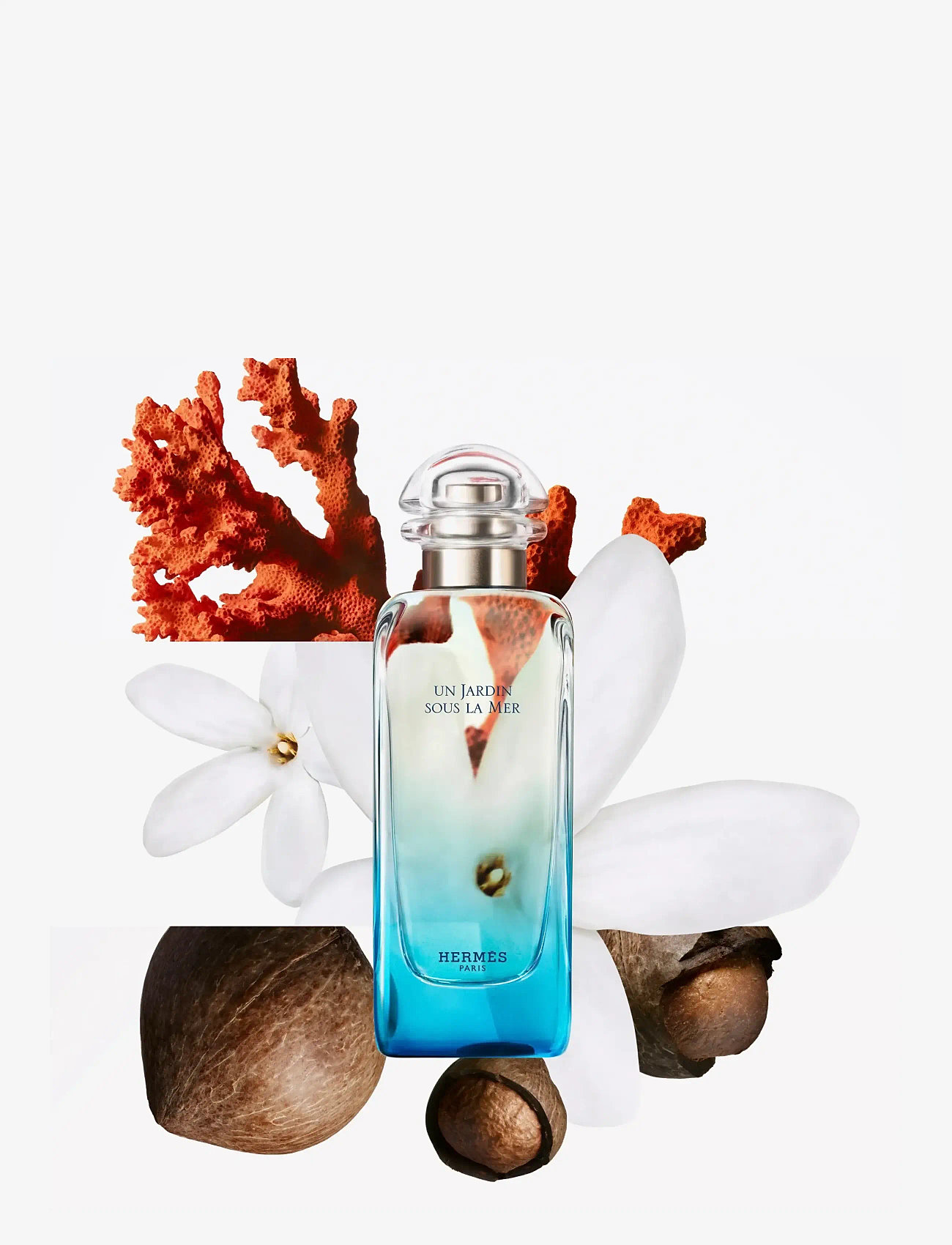 HERMÈS - Un Jardin sous la Mer - til ham  - clear - 2
