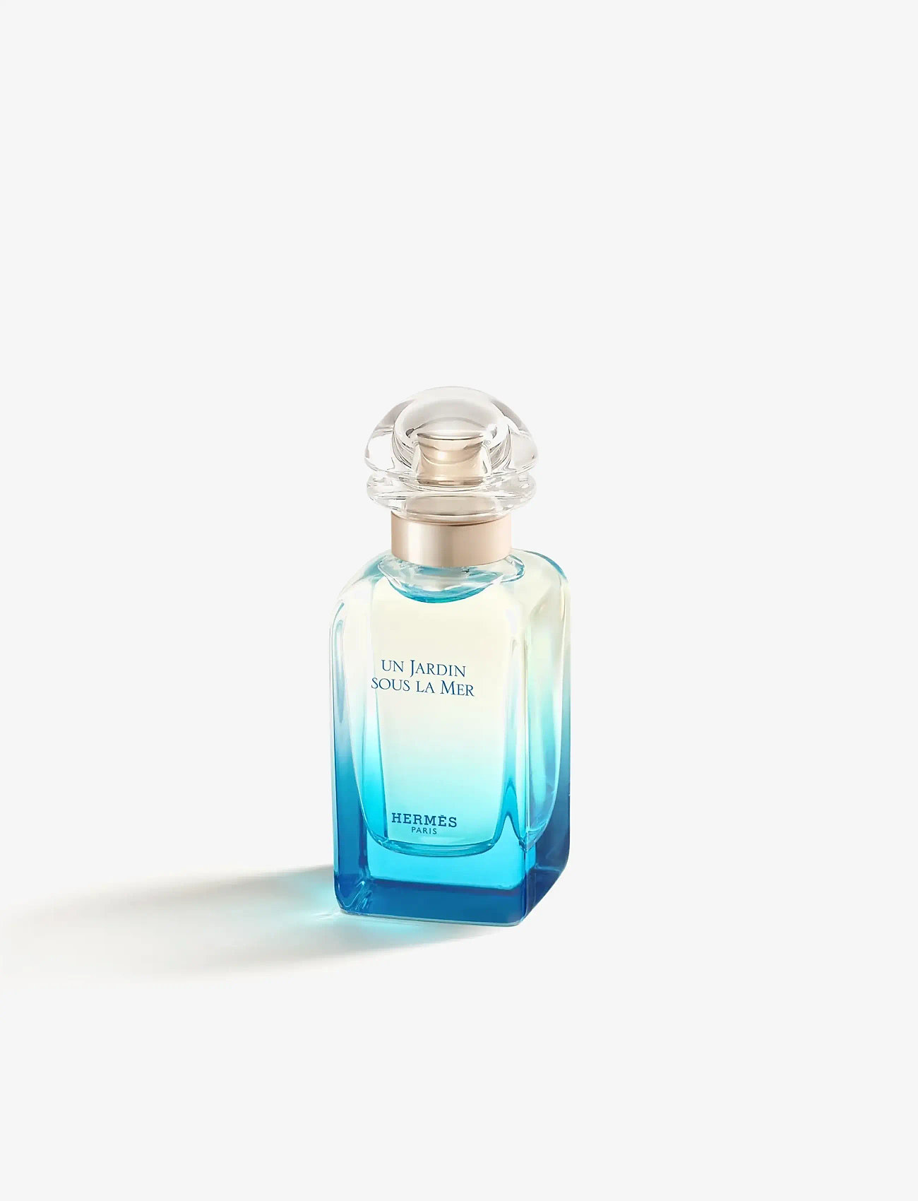 HERMÈS - Un Jardin sous la Mer - til ham  - clear - 3