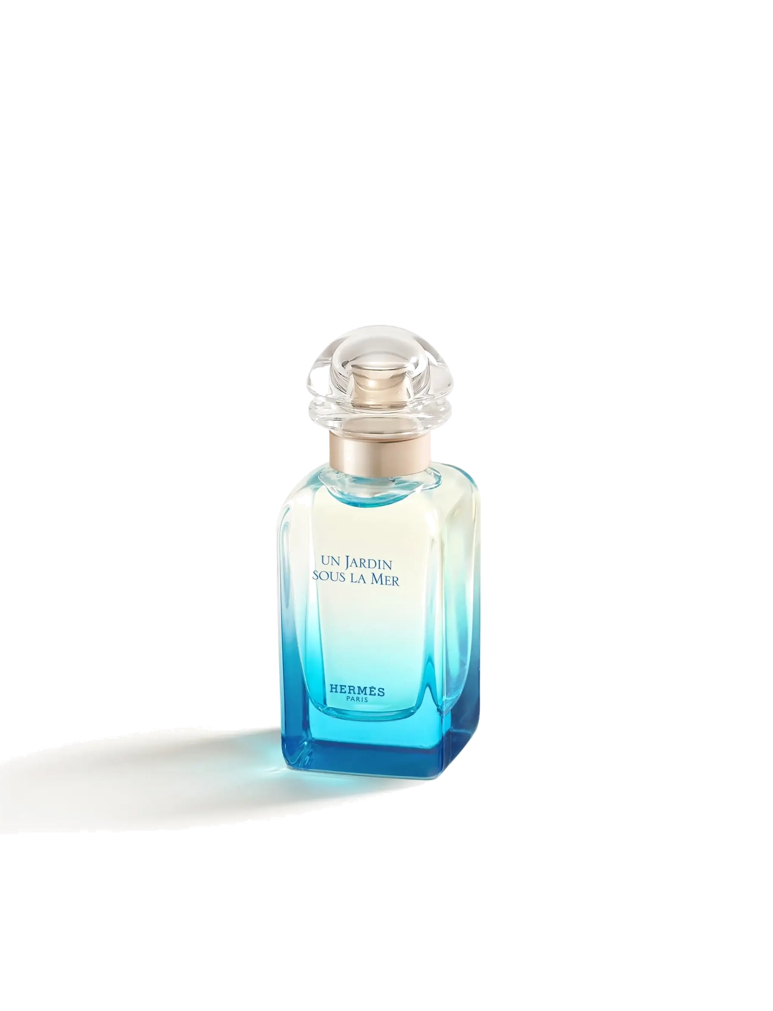HERMÈS - Un Jardin sous la Mer - til ham  - clear - 3