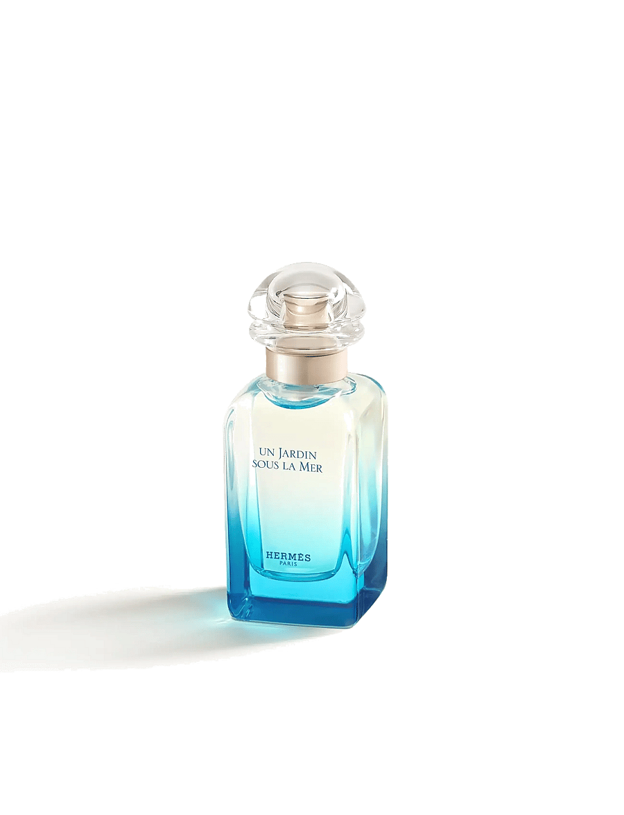 HERMÈS - Un Jardin sous la Mer - til ham - clear - 3